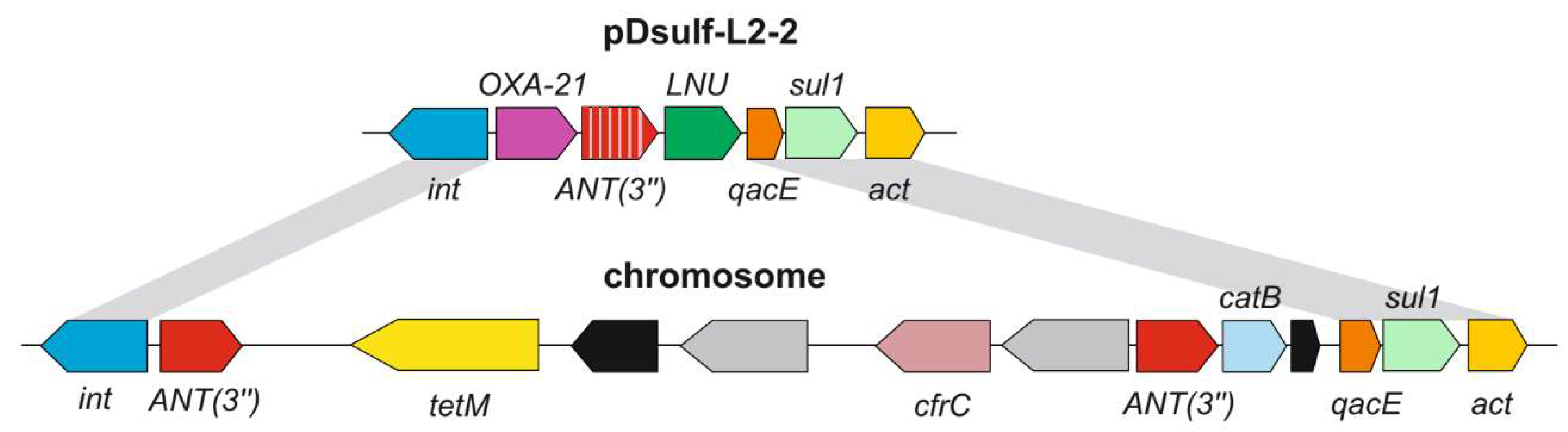 Microorganisms 11 00838 g004 Microorganisms 11 00838 g004