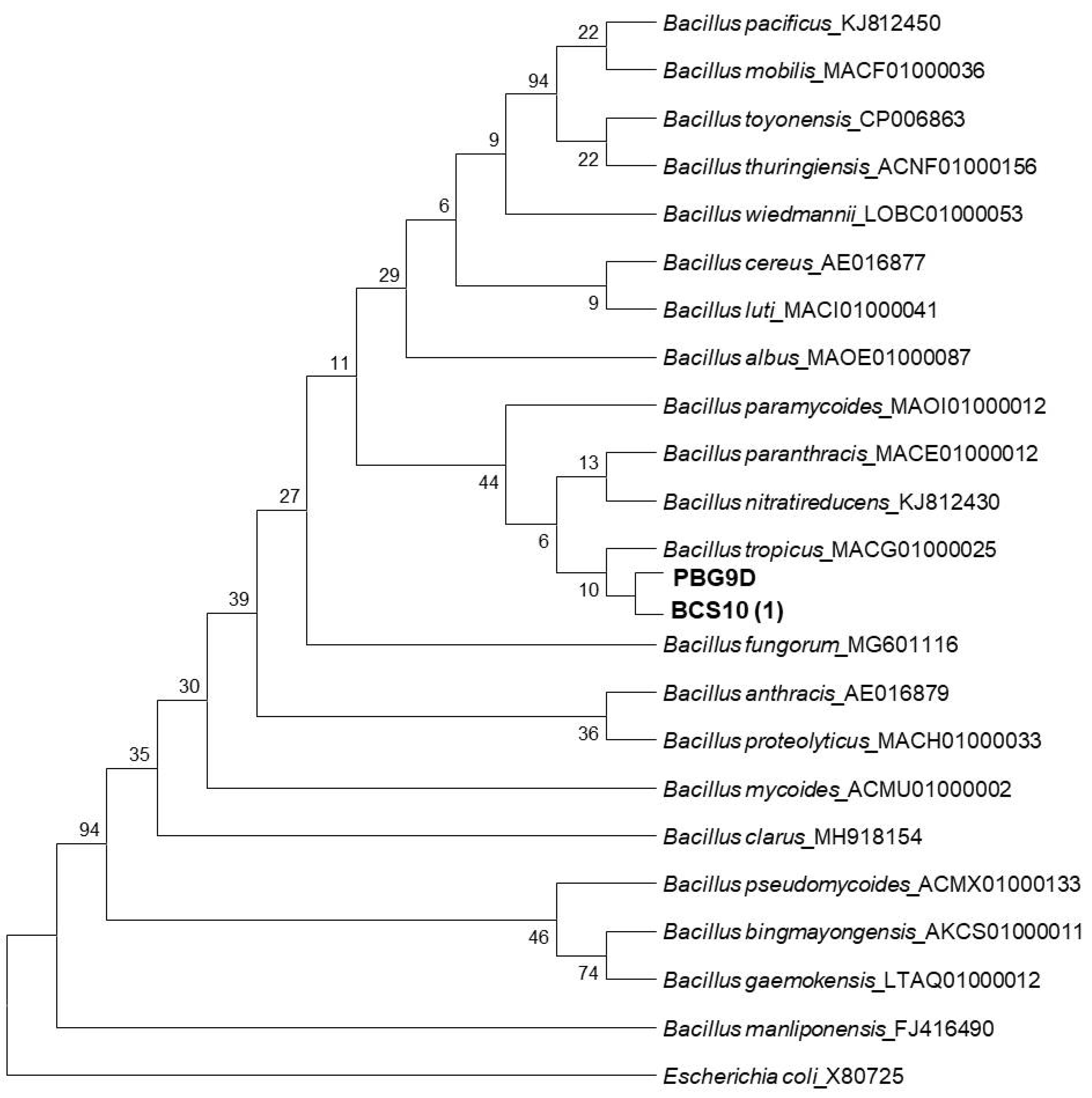 Microorganisms 11 00842 g005