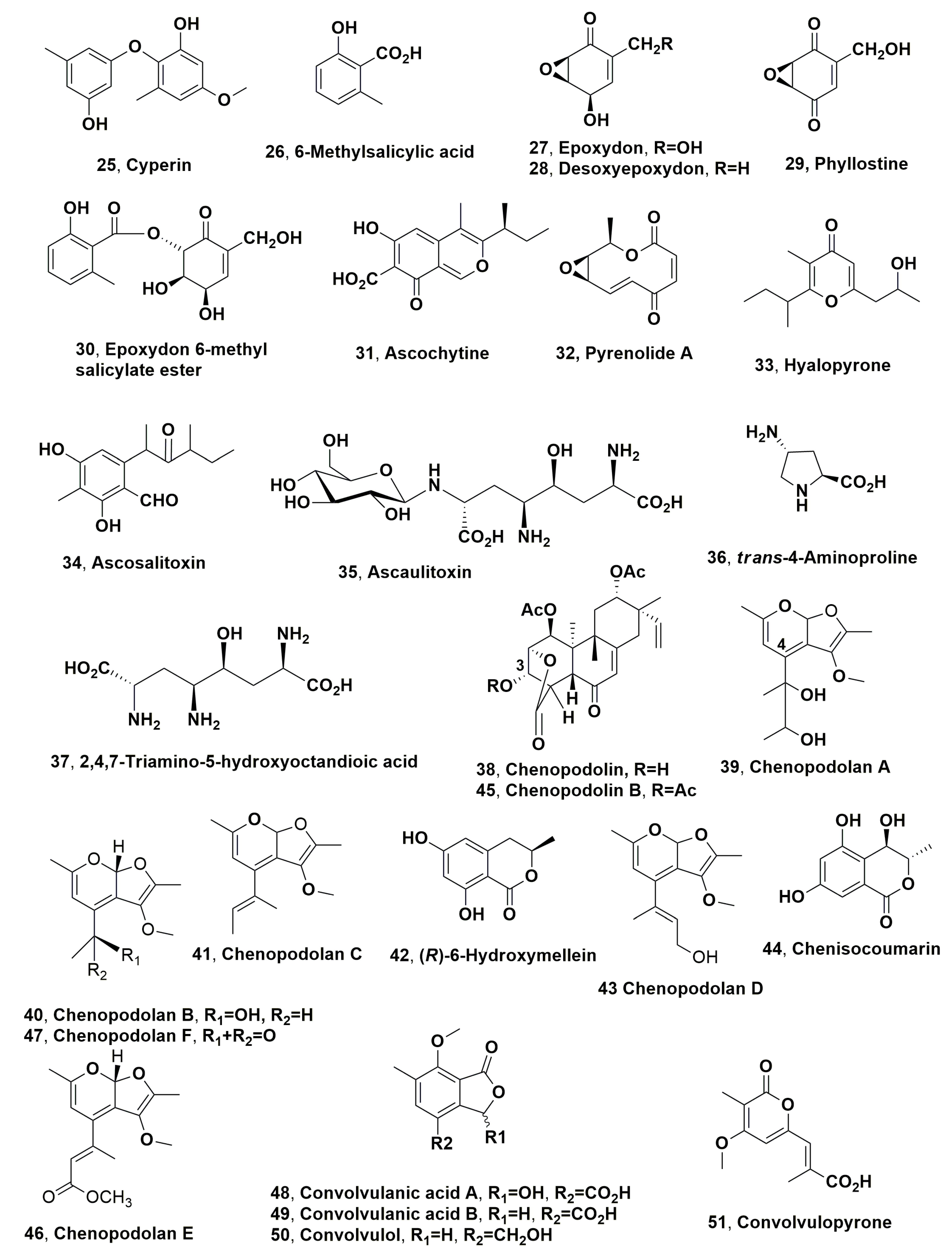 Microorganisms 11 00843 g002