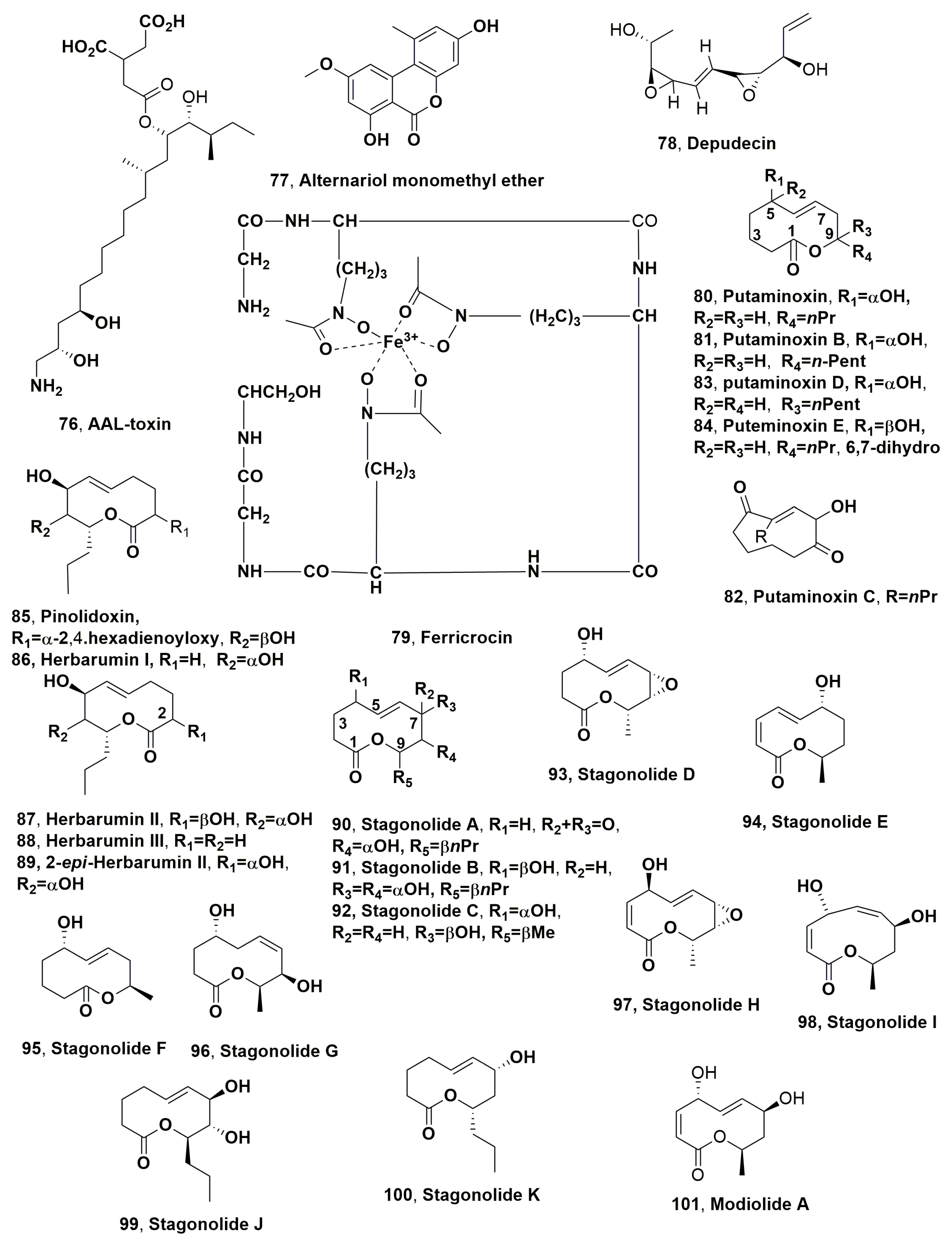 Microorganisms 11 00843 g004