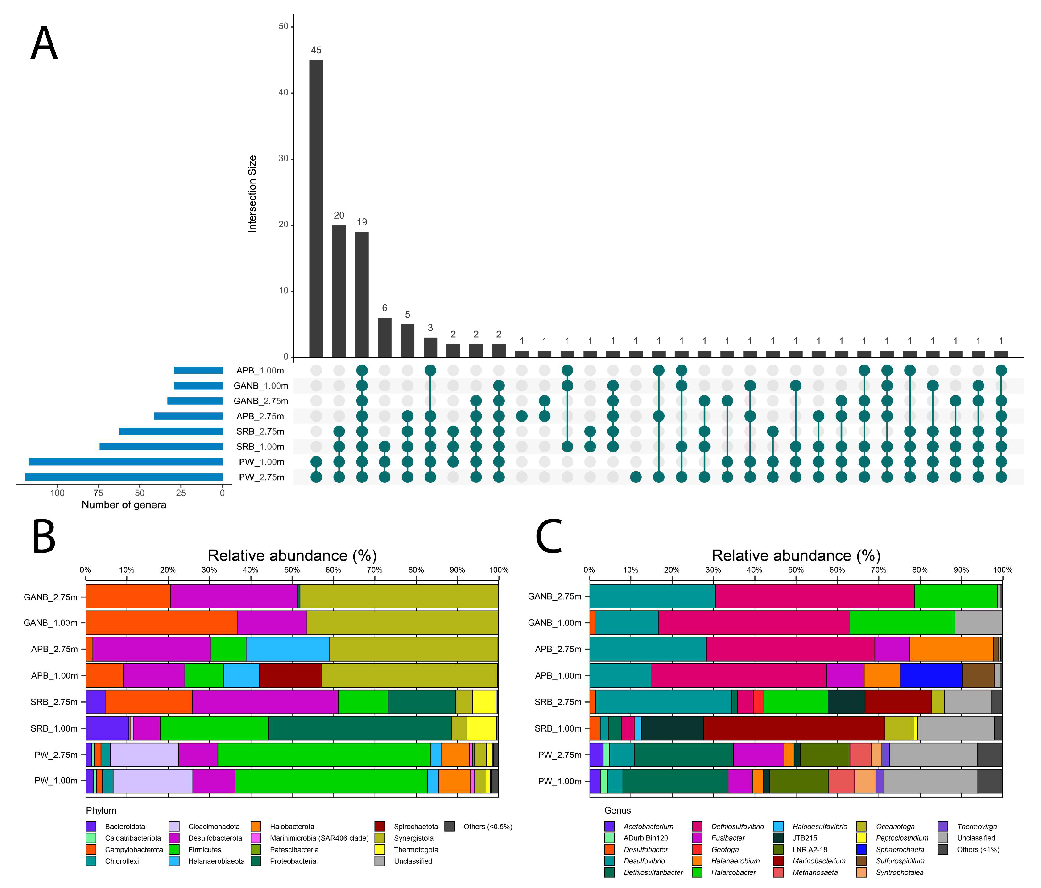 Microorganisms 11 00846 g001