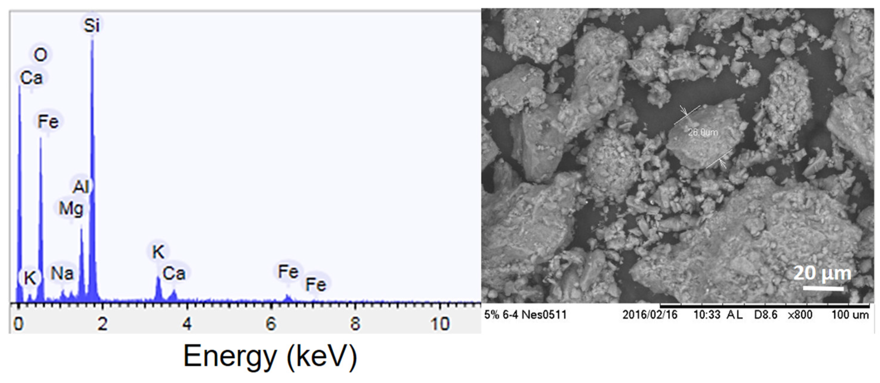 Microorganisms 11 00847 g002 Microorganisms 11 00847 g002
