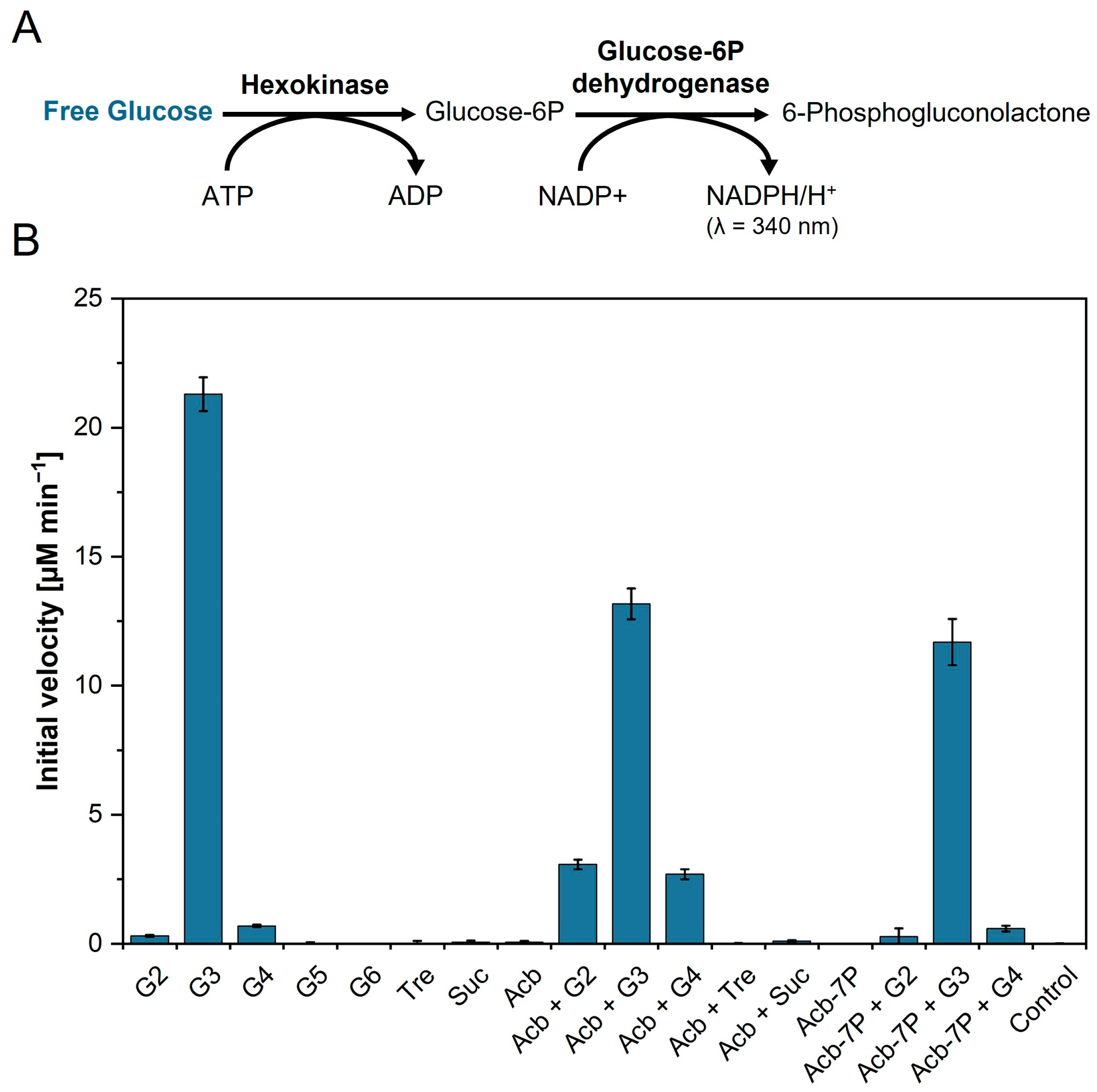 Microorganisms 11 00848 g003