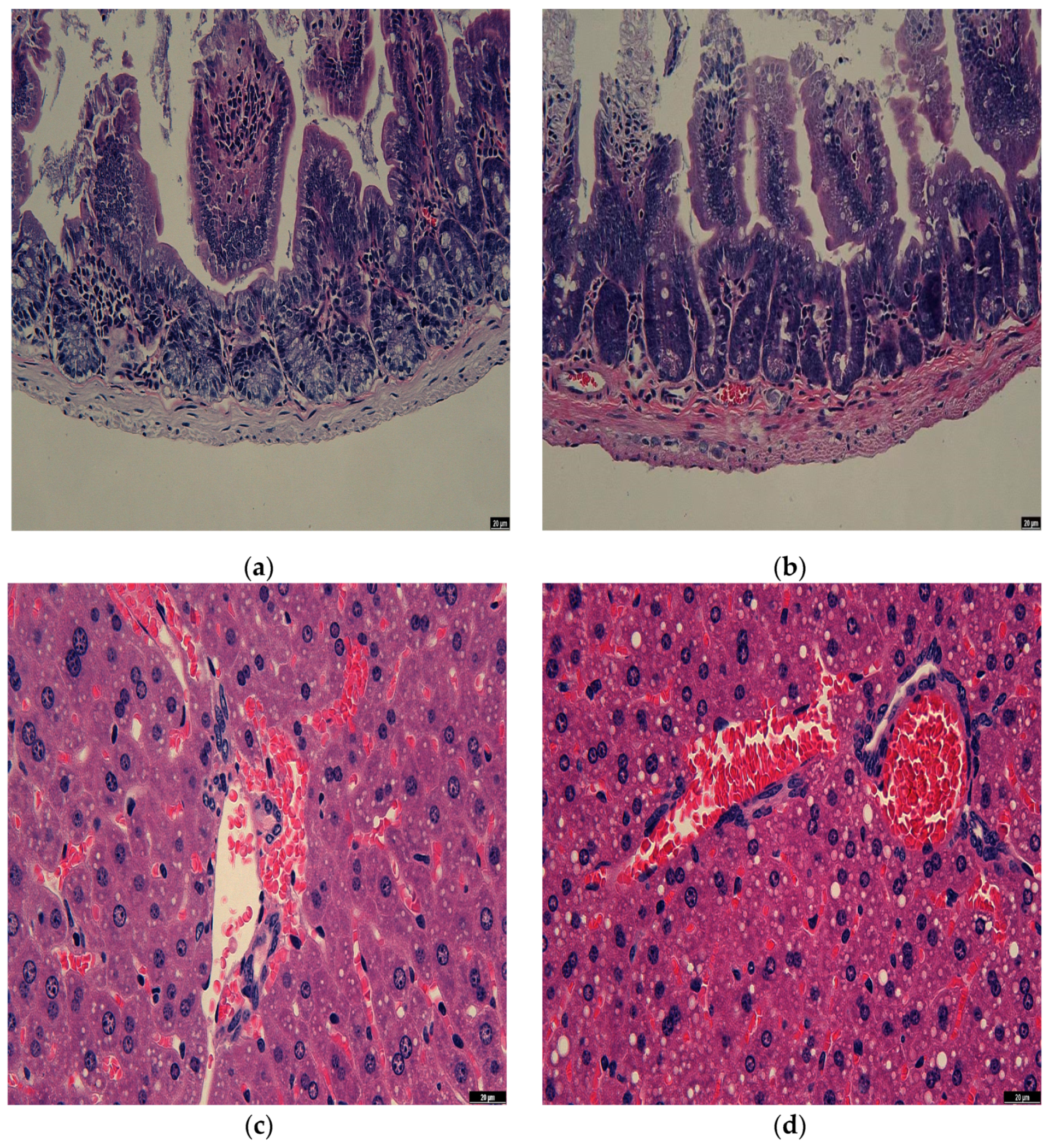 Microorganisms 11 00849 g002