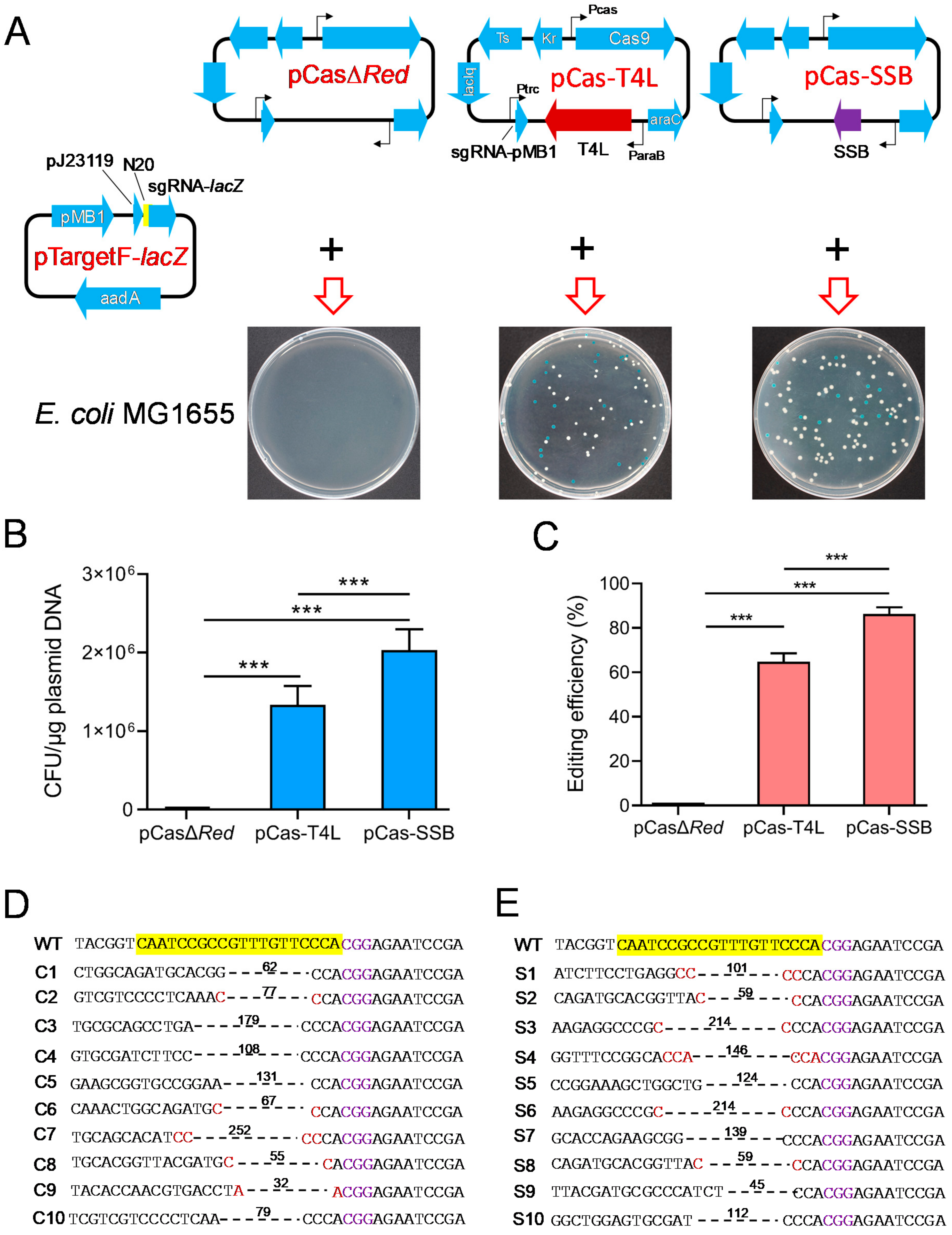 Microorganisms 11 00850 g002 Microorganisms 11 00850 g002