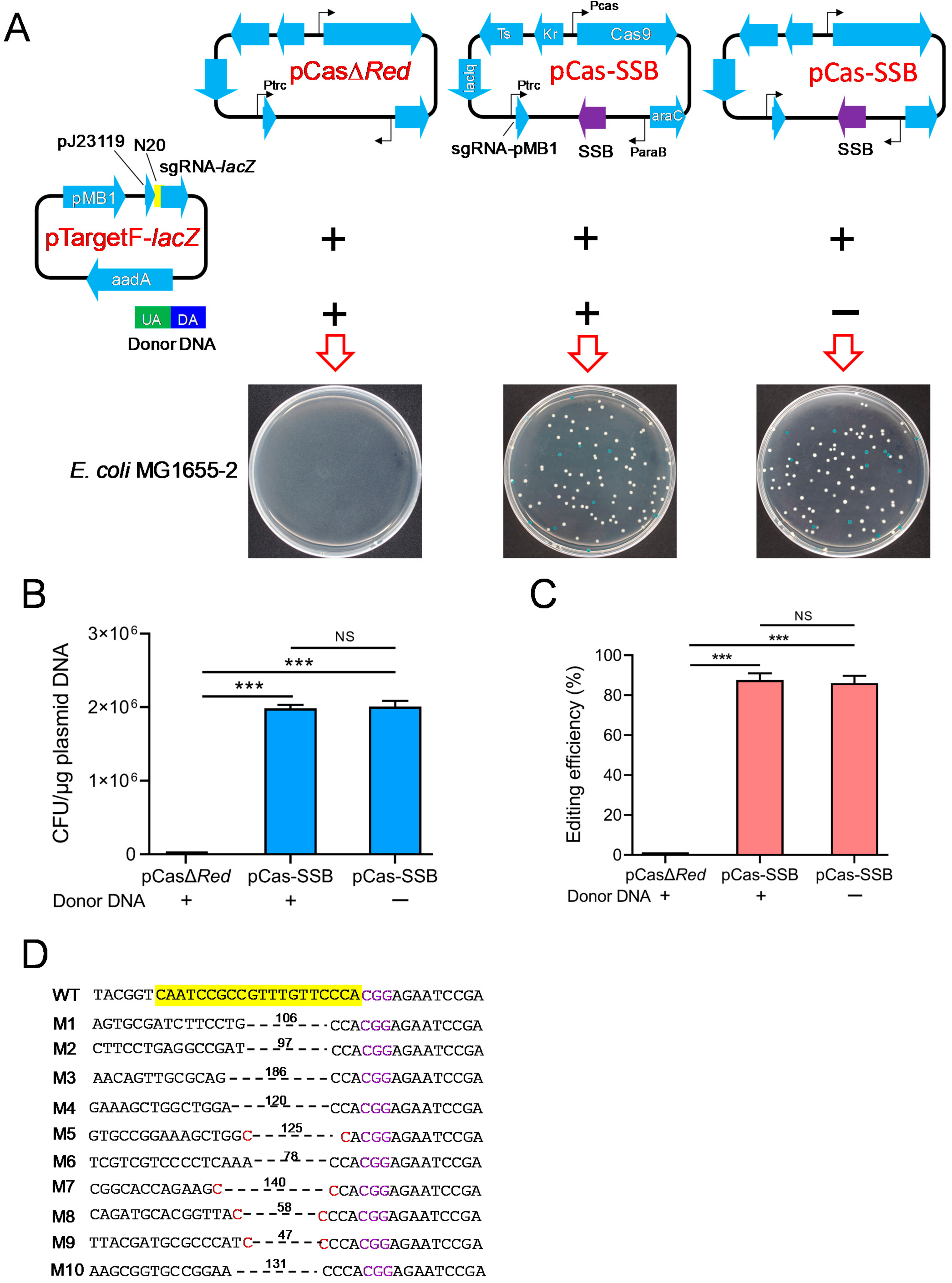 Microorganisms 11 00850 g003 Microorganisms 11 00850 g003