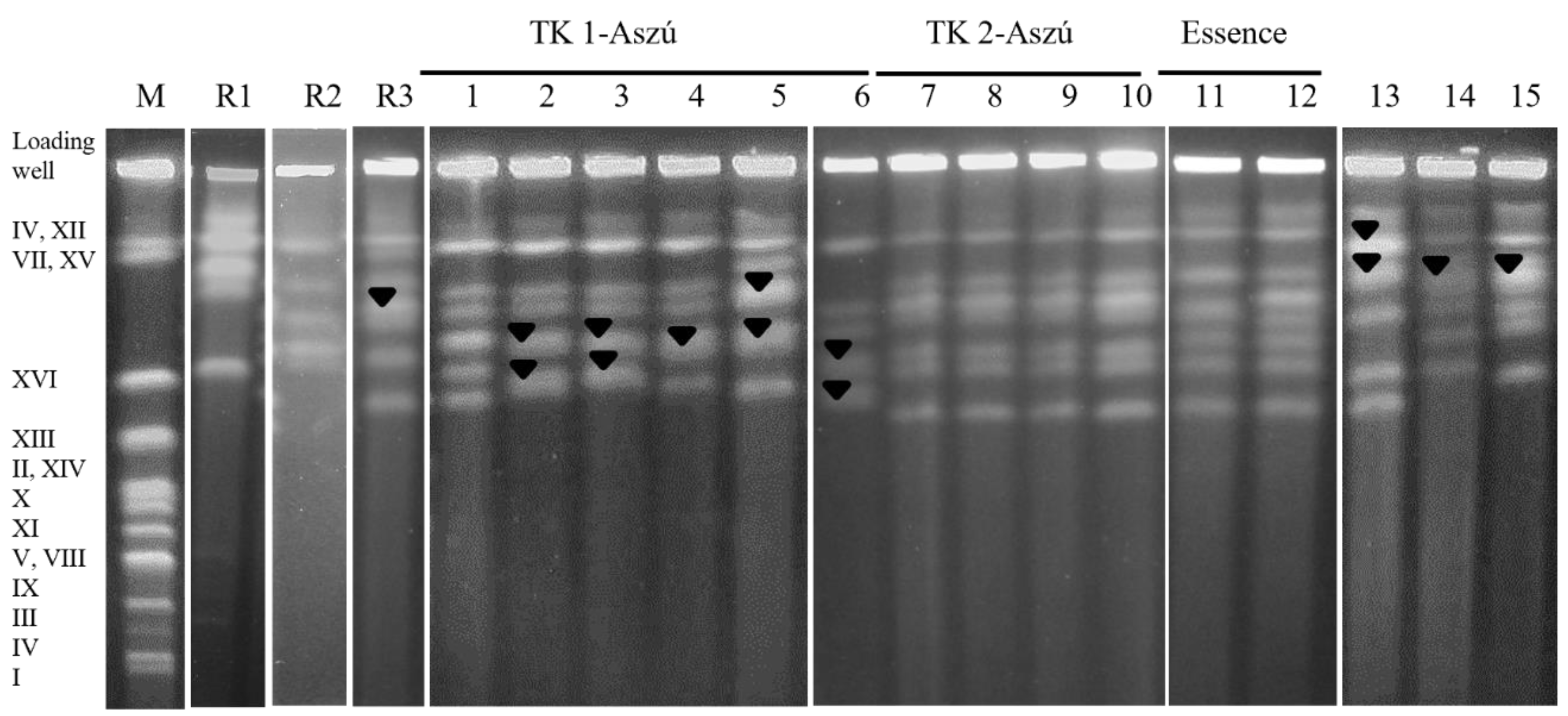 Microorganisms 11 00852 g003 Microorganisms 11 00852 g003