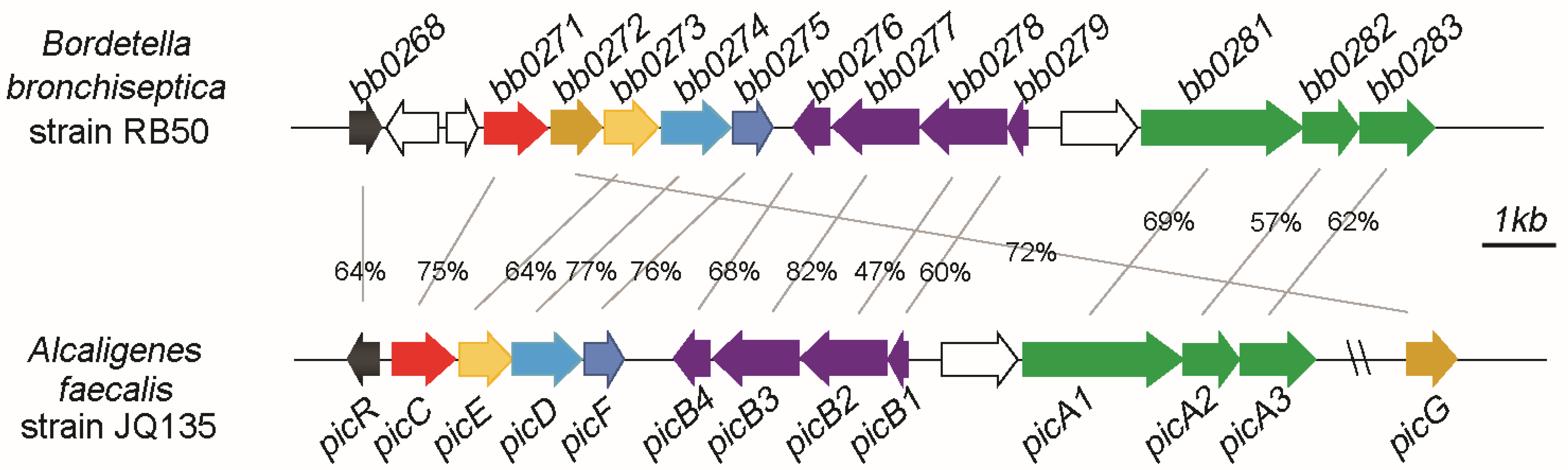 Microorganisms 11 00854 g001 Microorganisms 11 00854 g001