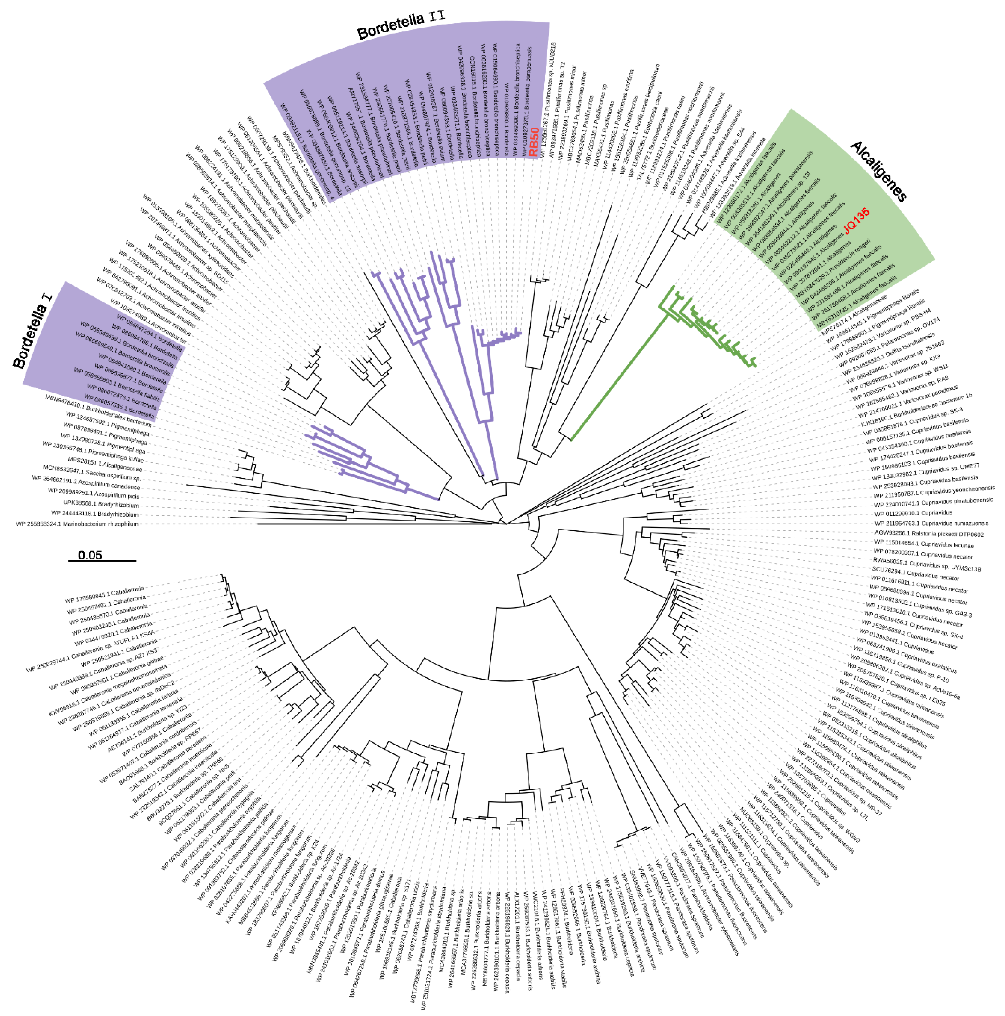 Microorganisms 11 00854 g002 Microorganisms 11 00854 g002