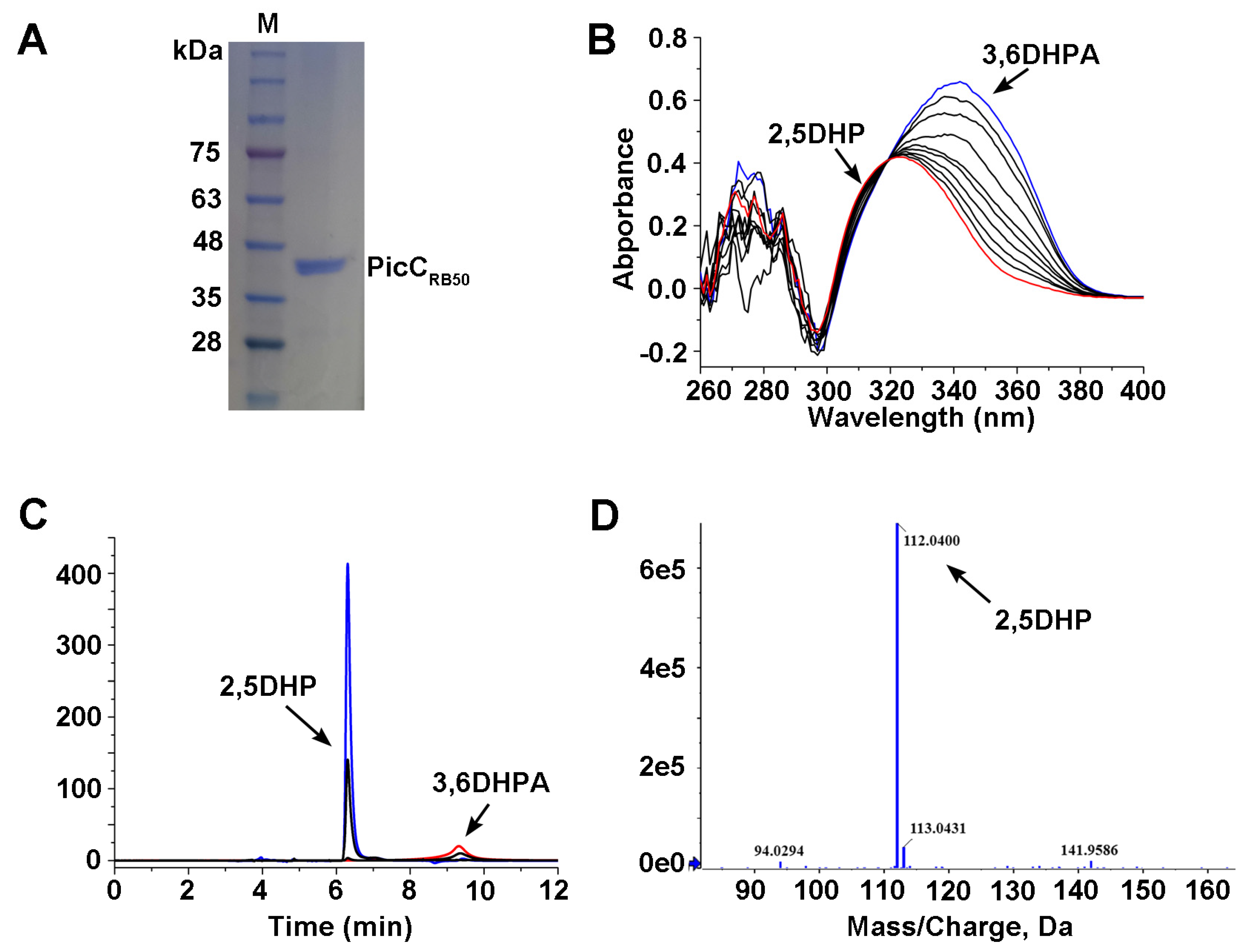 Microorganisms 11 00854 g003 Microorganisms 11 00854 g003