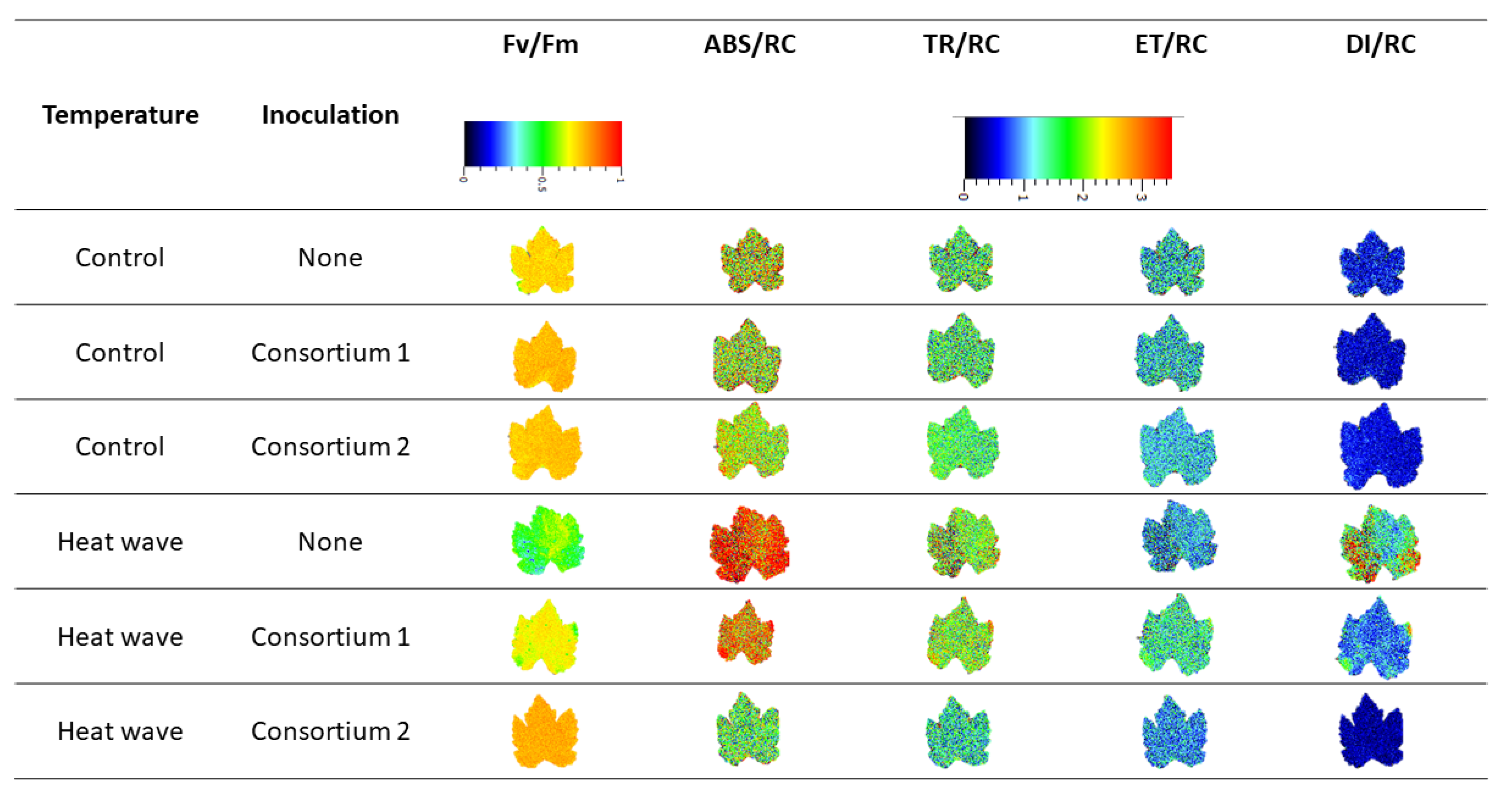 Microorganisms 11 00856 g004 Microorganisms 11 00856 g004
