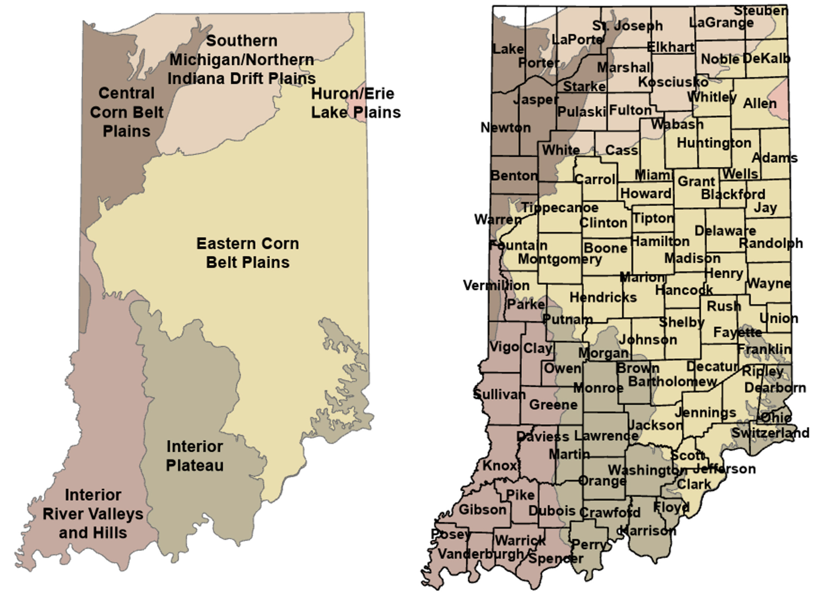 Microorganisms 11 00865 g001