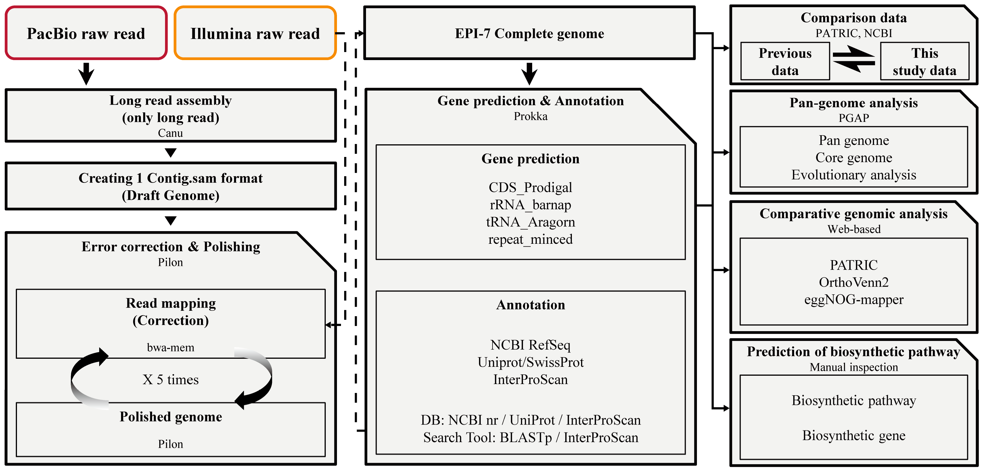 Microorganisms 11 00870 g001 Microorganisms 11 00870 g001