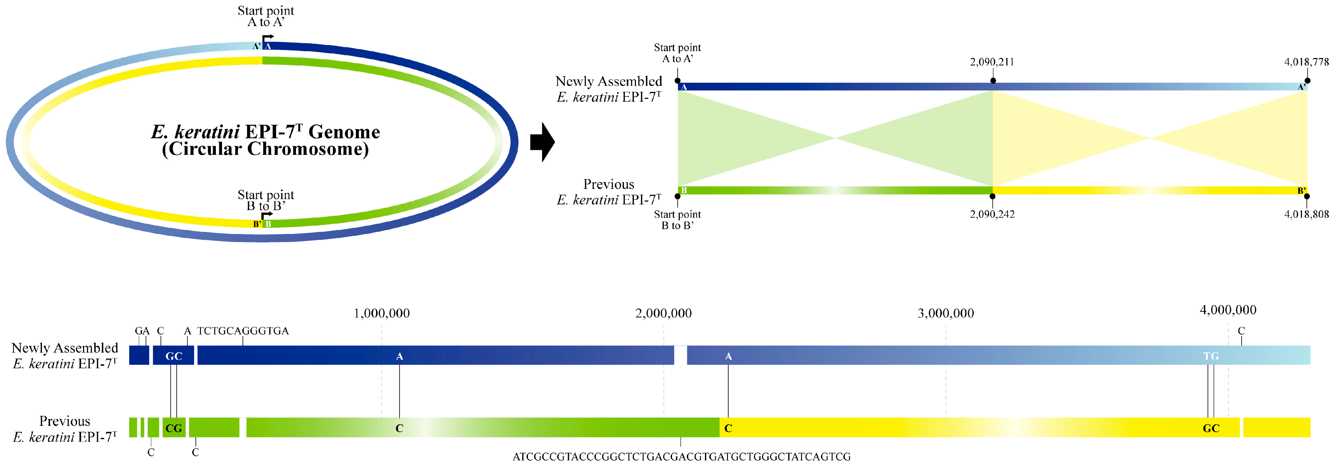 Microorganisms 11 00870 g002 Microorganisms 11 00870 g002