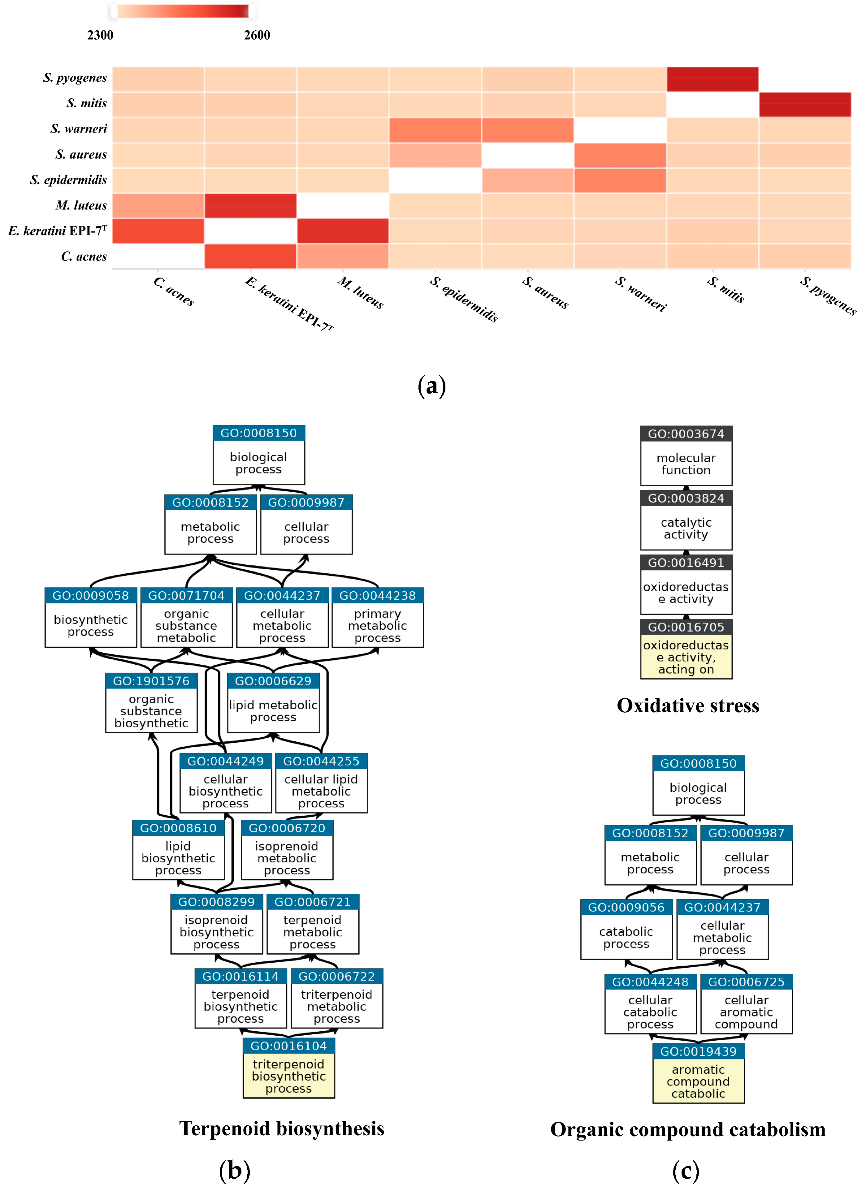 Microorganisms 11 00870 g006 Microorganisms 11 00870 g006