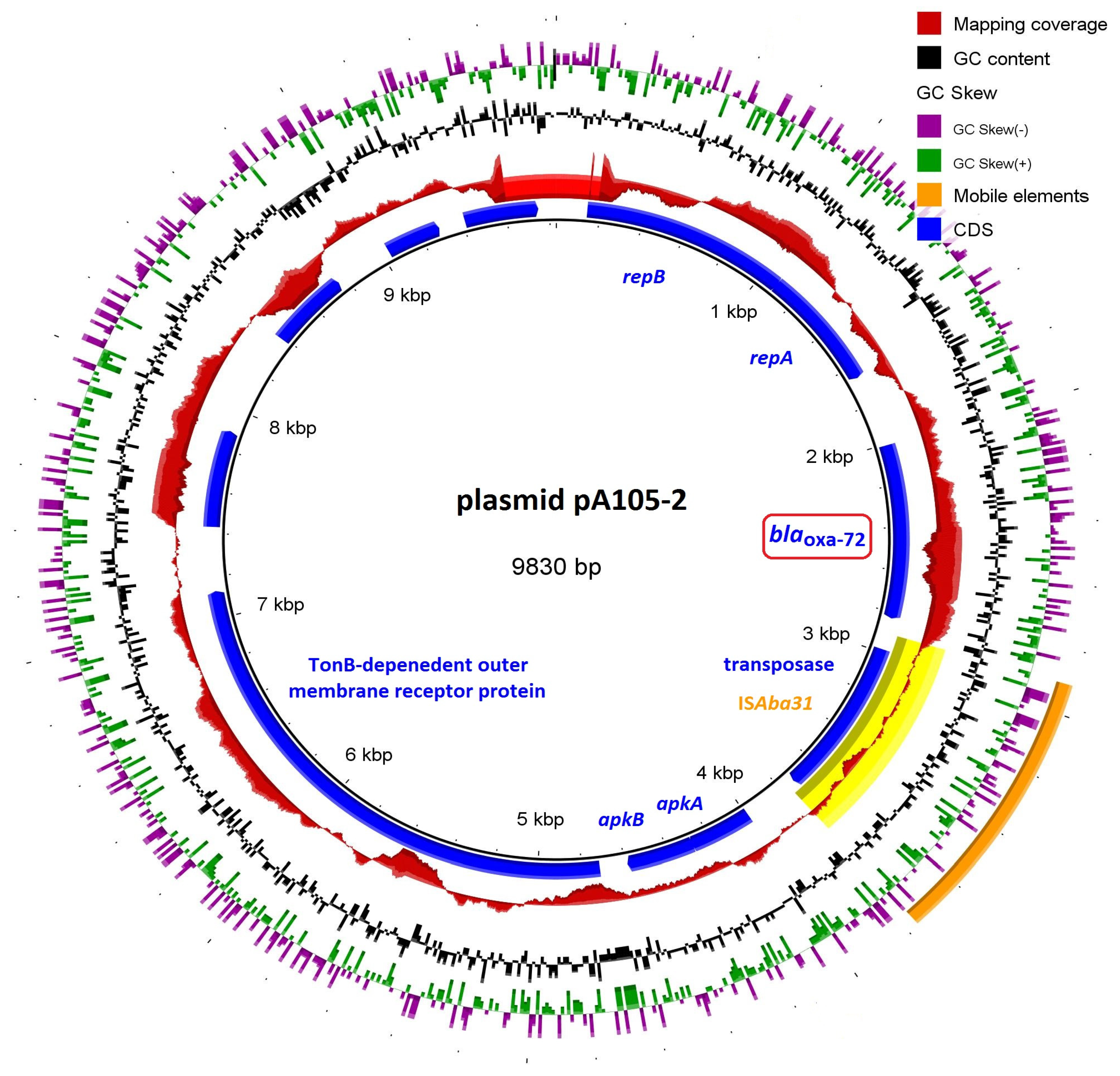 Microorganisms 11 00875 g001