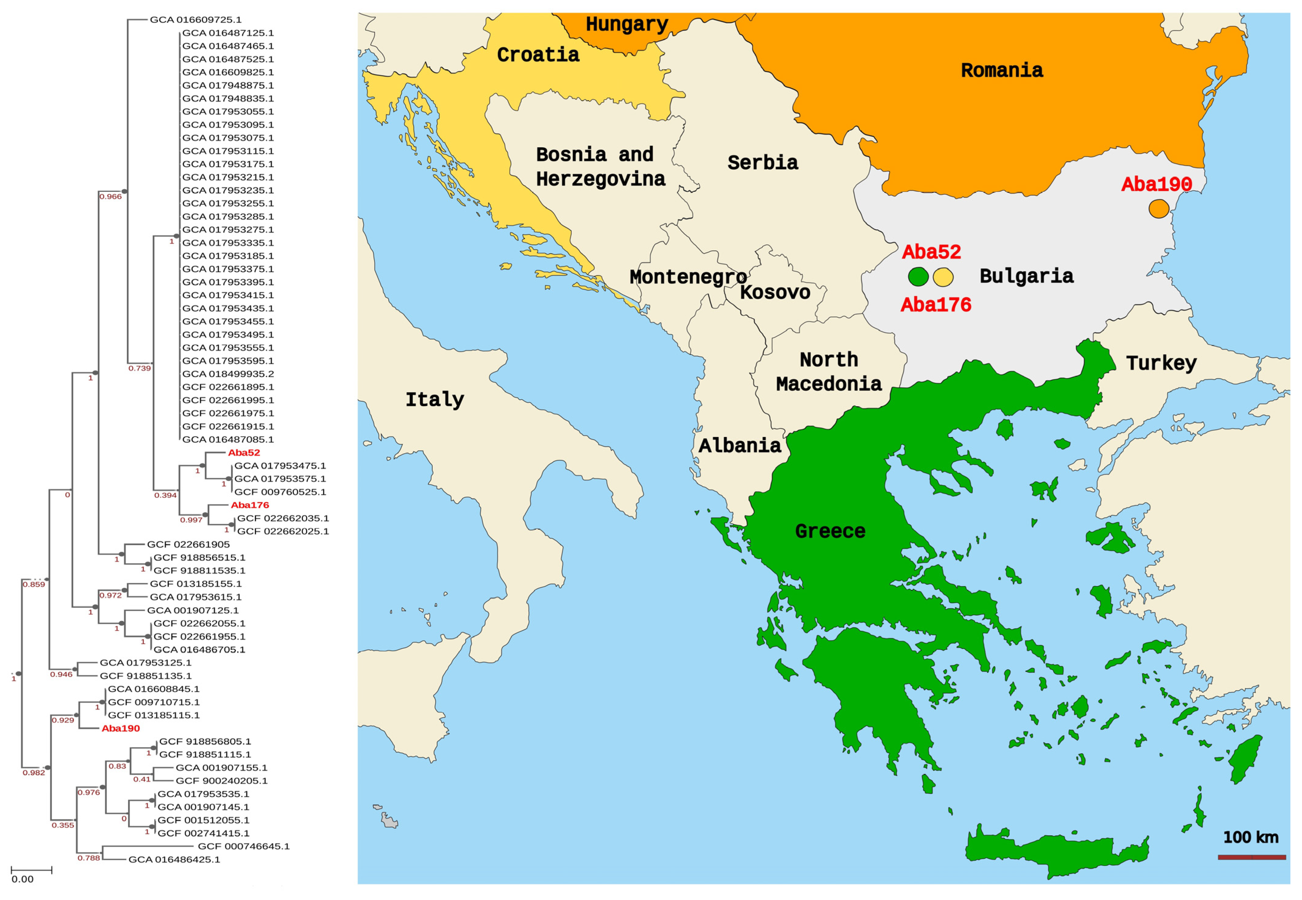 Microorganisms 11 00875 g002