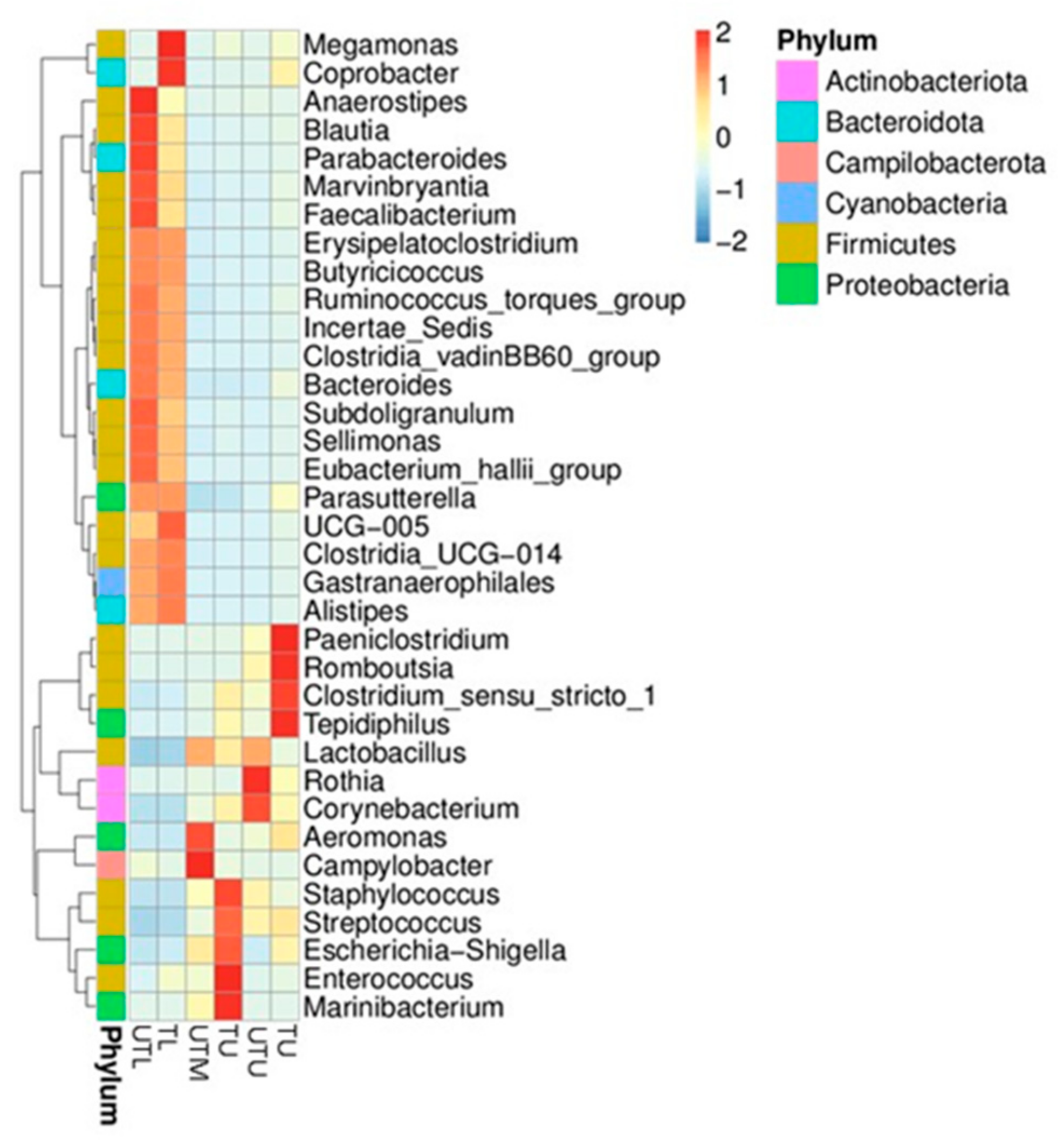Microorganisms 11 00876 g002 Microorganisms 11 00876 g002