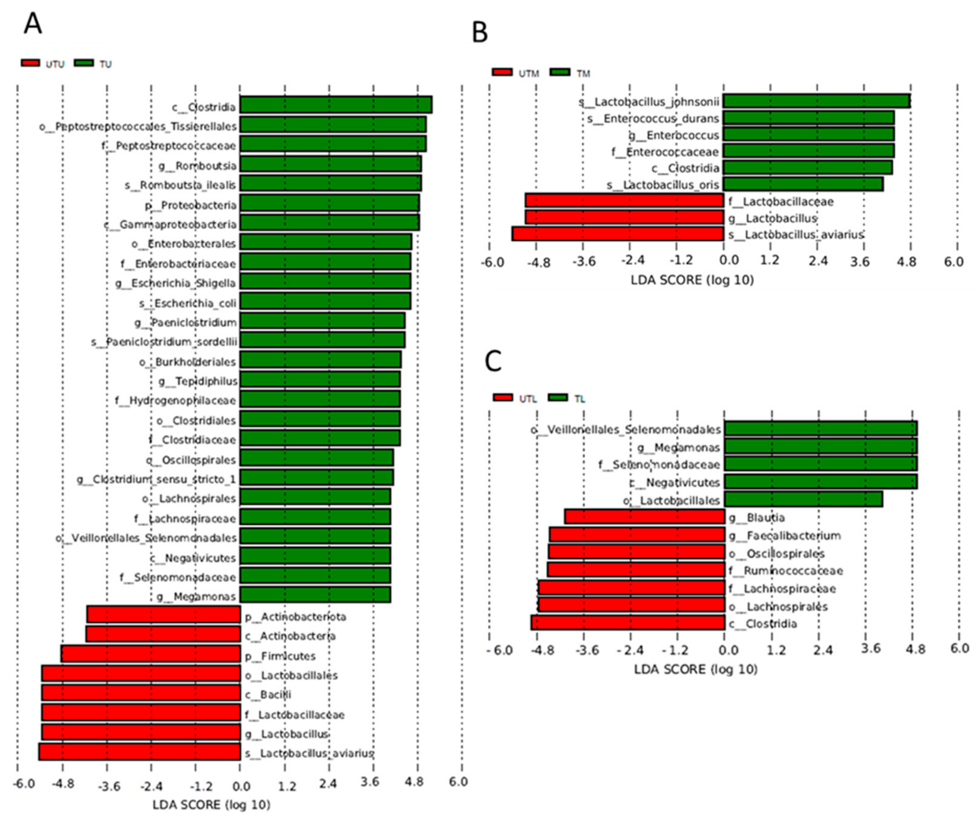 Microorganisms 11 00876 g006 Microorganisms 11 00876 g006