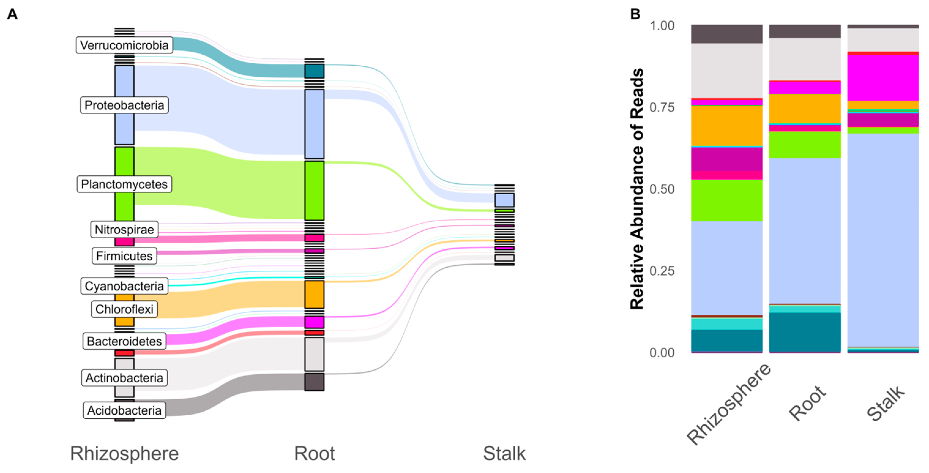 Microorganisms 11 00879 g001 Microorganisms 11 00879 g001