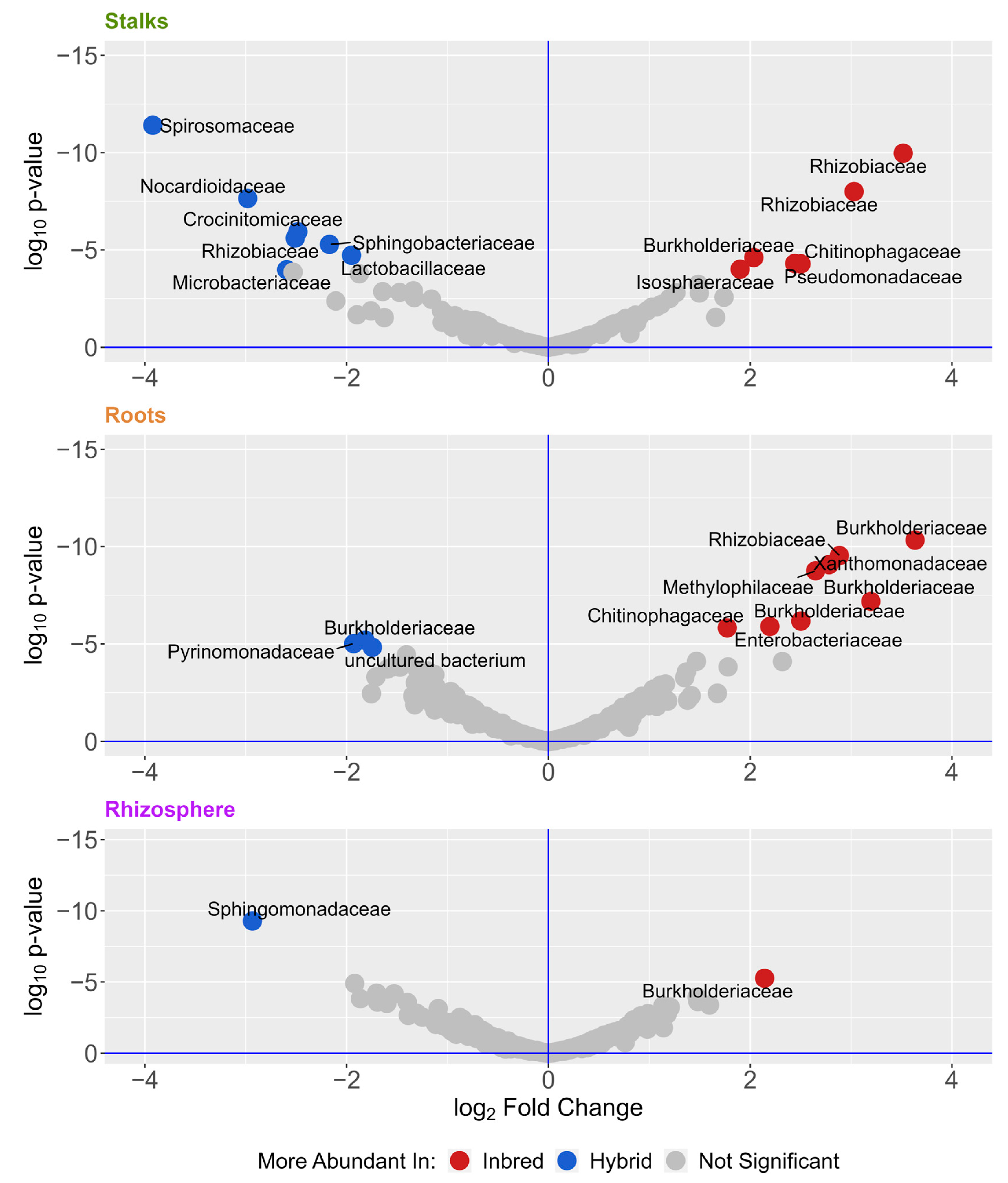 Microorganisms 11 00879 g004 Microorganisms 11 00879 g004