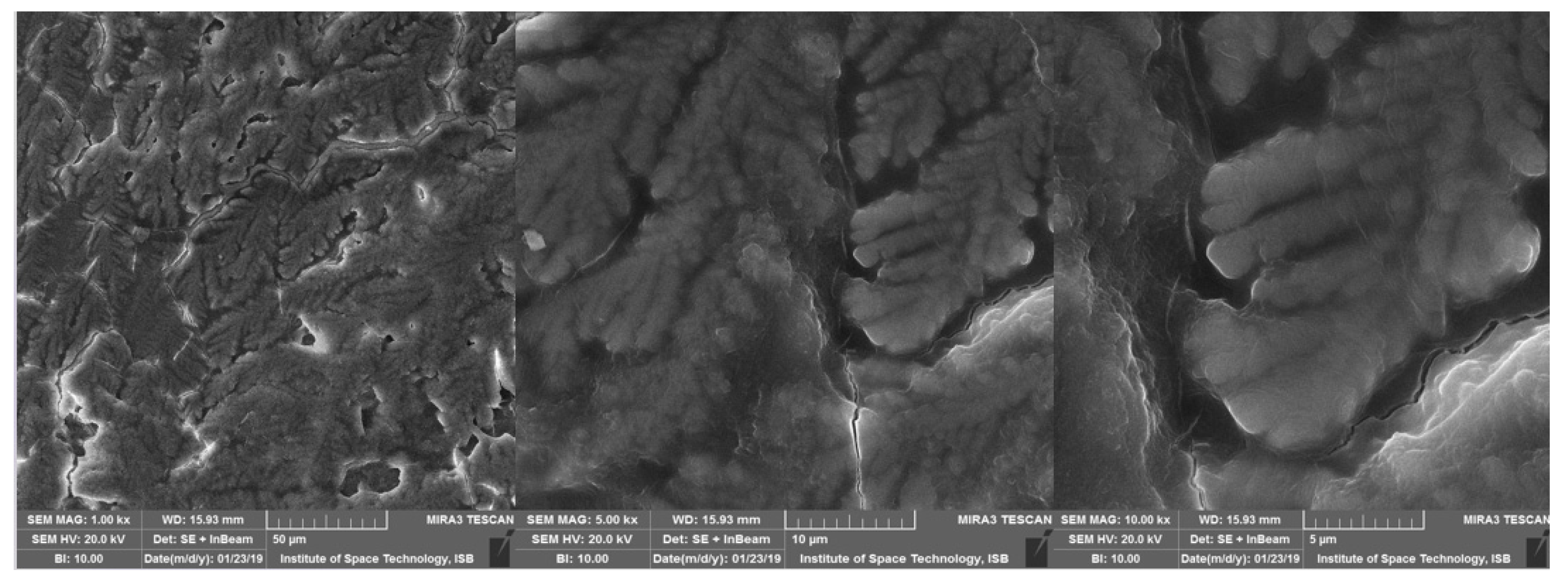 Microorganisms 11 00885 g005 Microorganisms 11 00885 g005