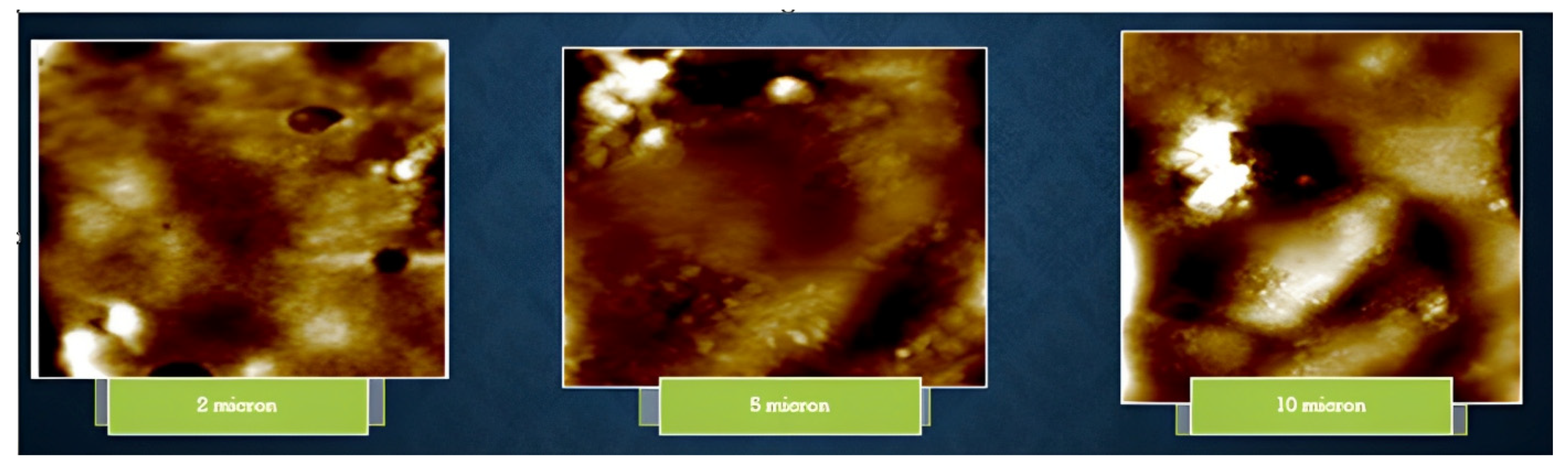 Microorganisms 11 00885 g006 Microorganisms 11 00885 g006