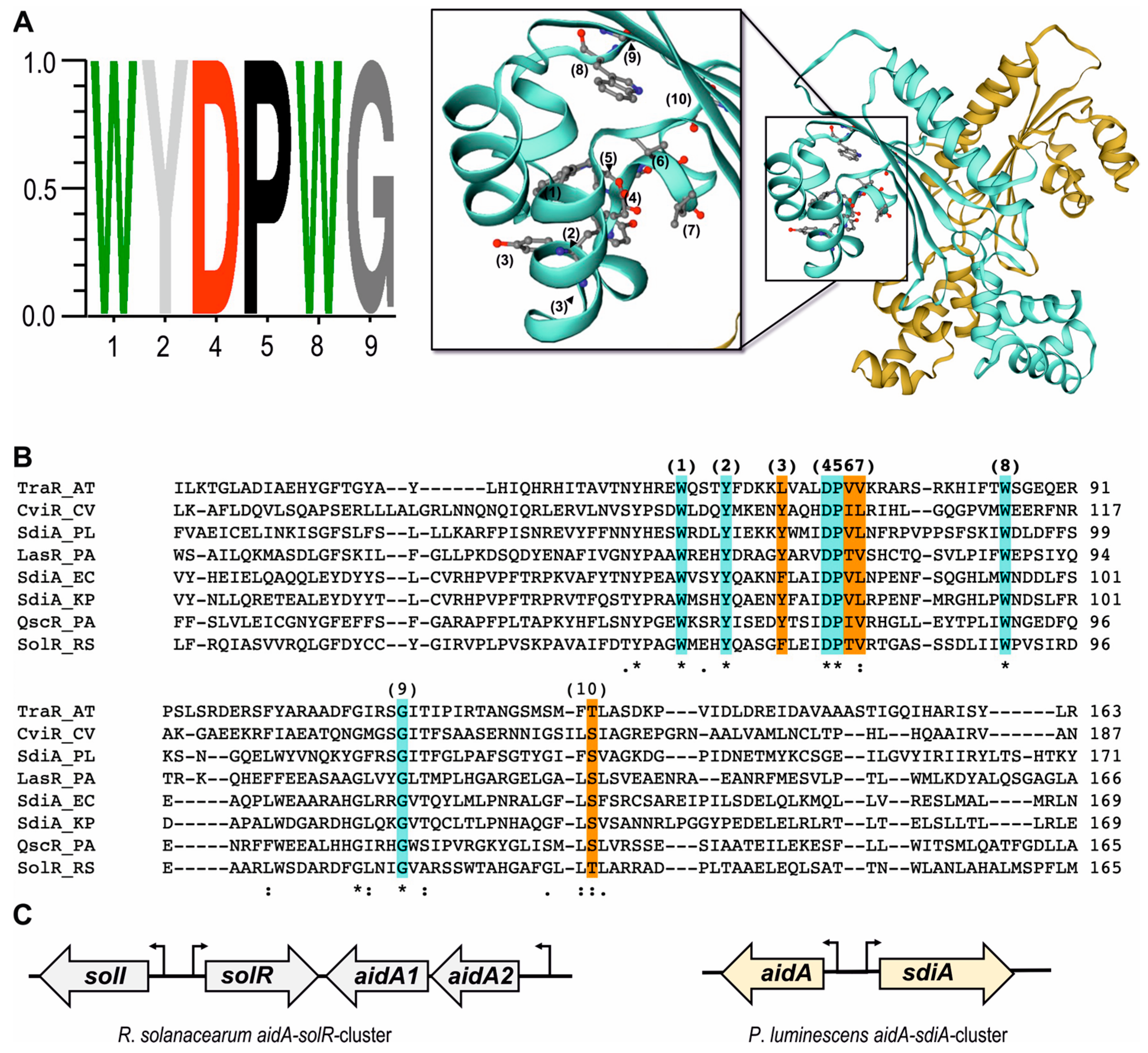Microorganisms 11 00890 g001 Microorganisms 11 00890 g001