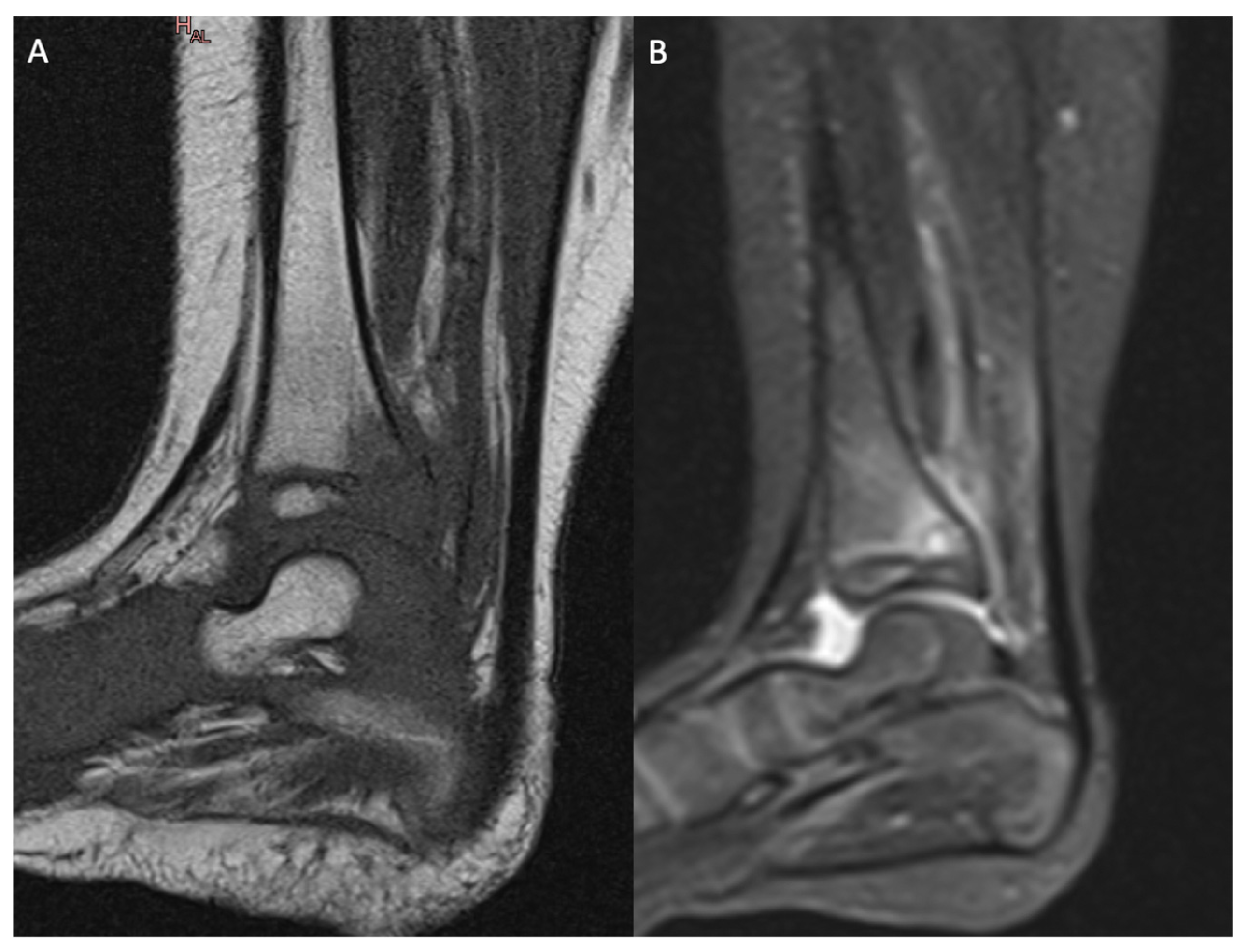 Microorganisms 11 00894 g002
