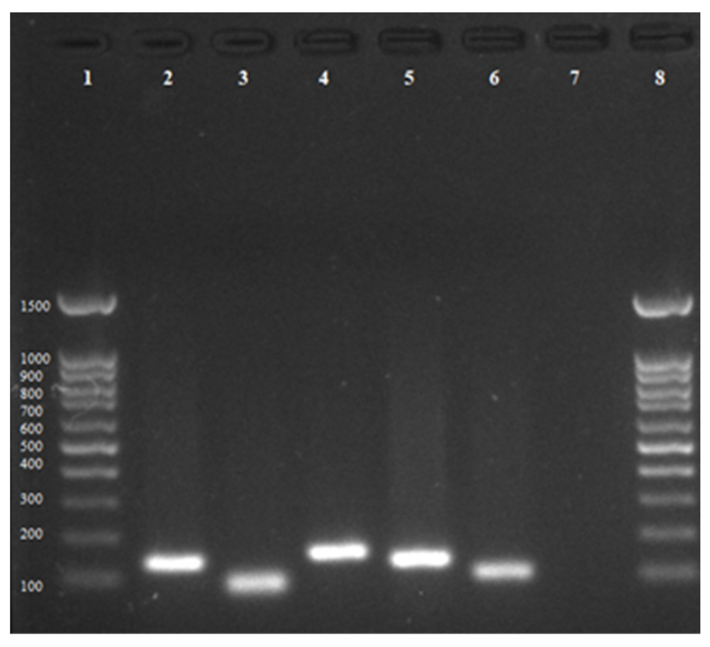 Microorganisms 11 00898 g001
