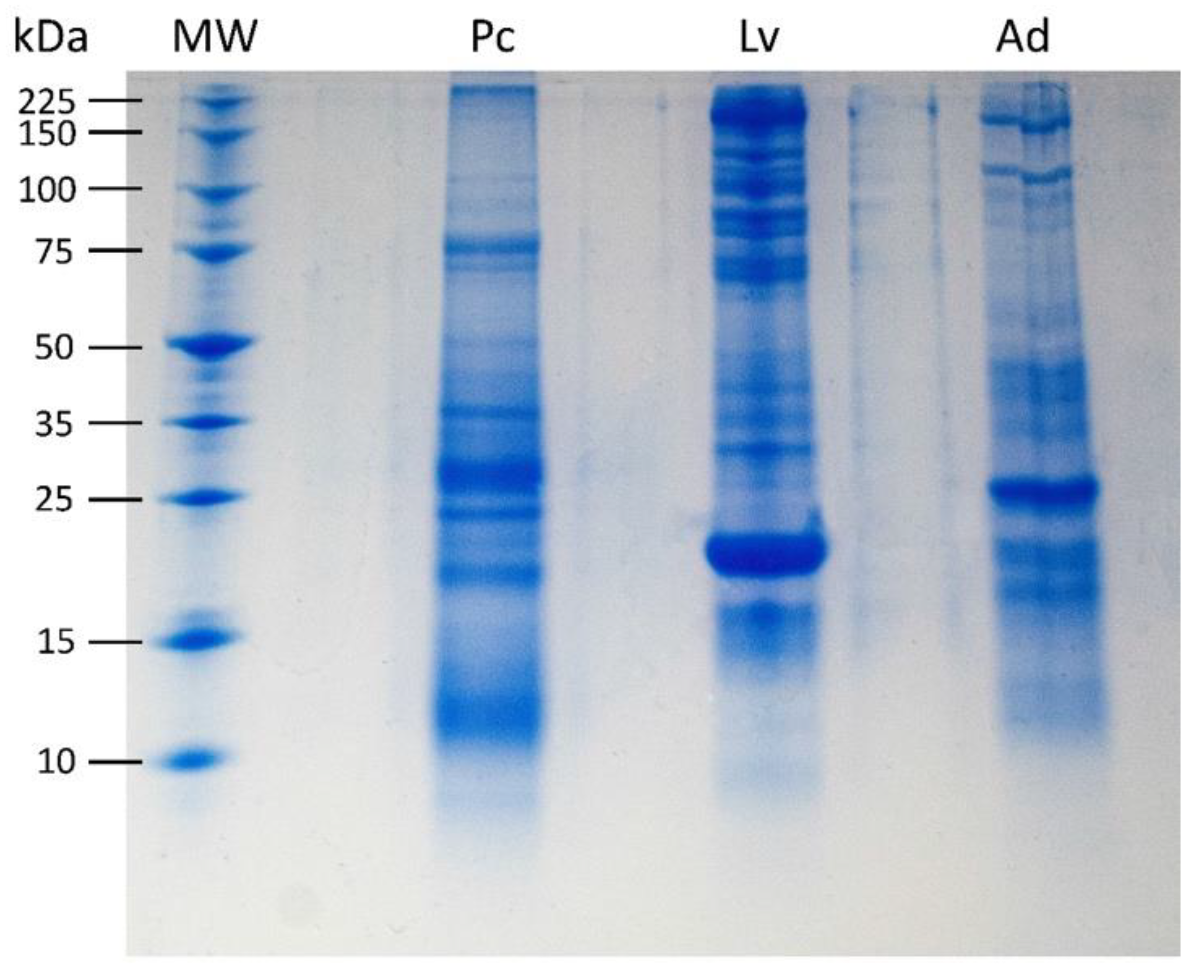 Microorganisms 11 00900 g002 Microorganisms 11 00900 g002