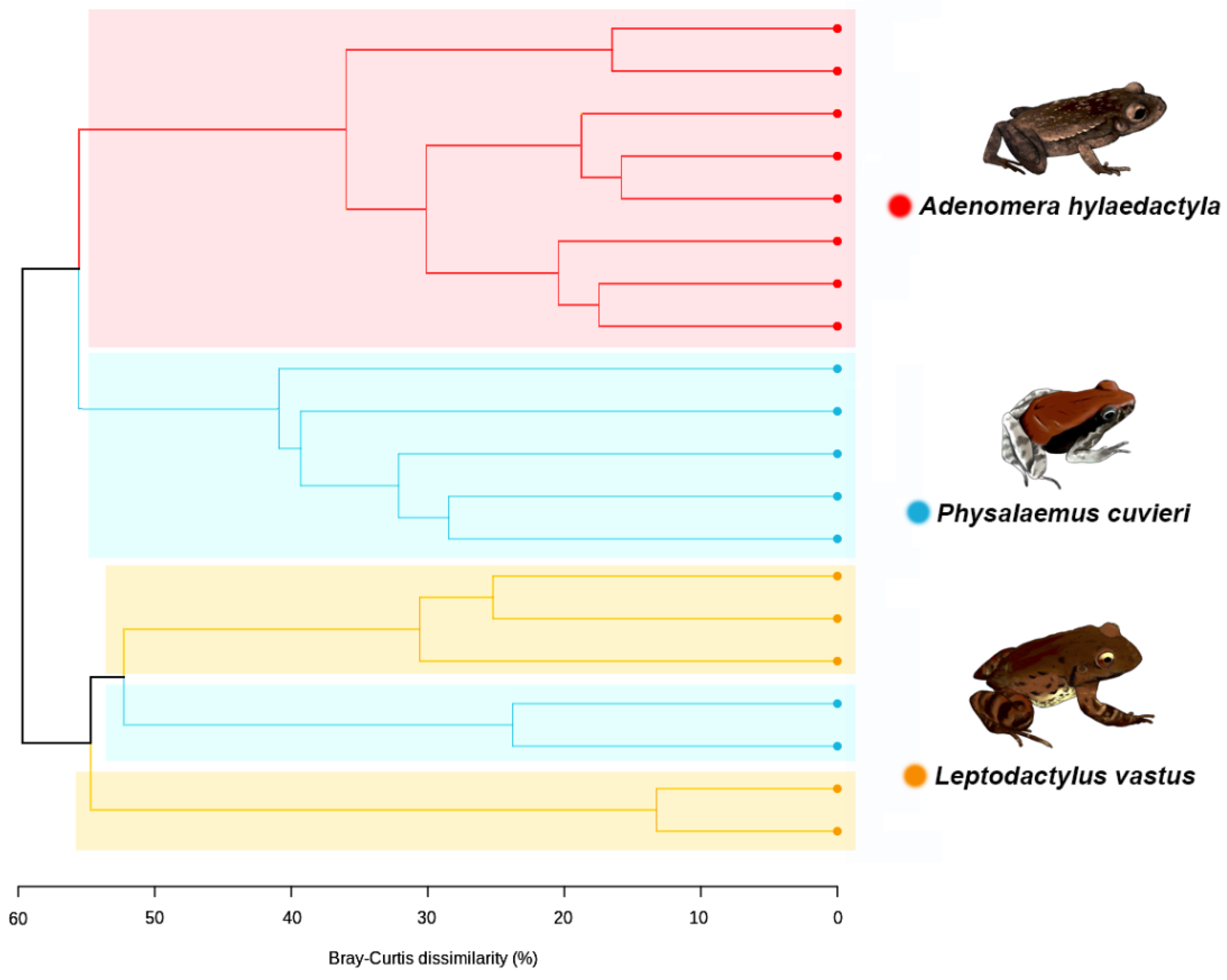 Microorganisms 11 00900 g006 Microorganisms 11 00900 g006