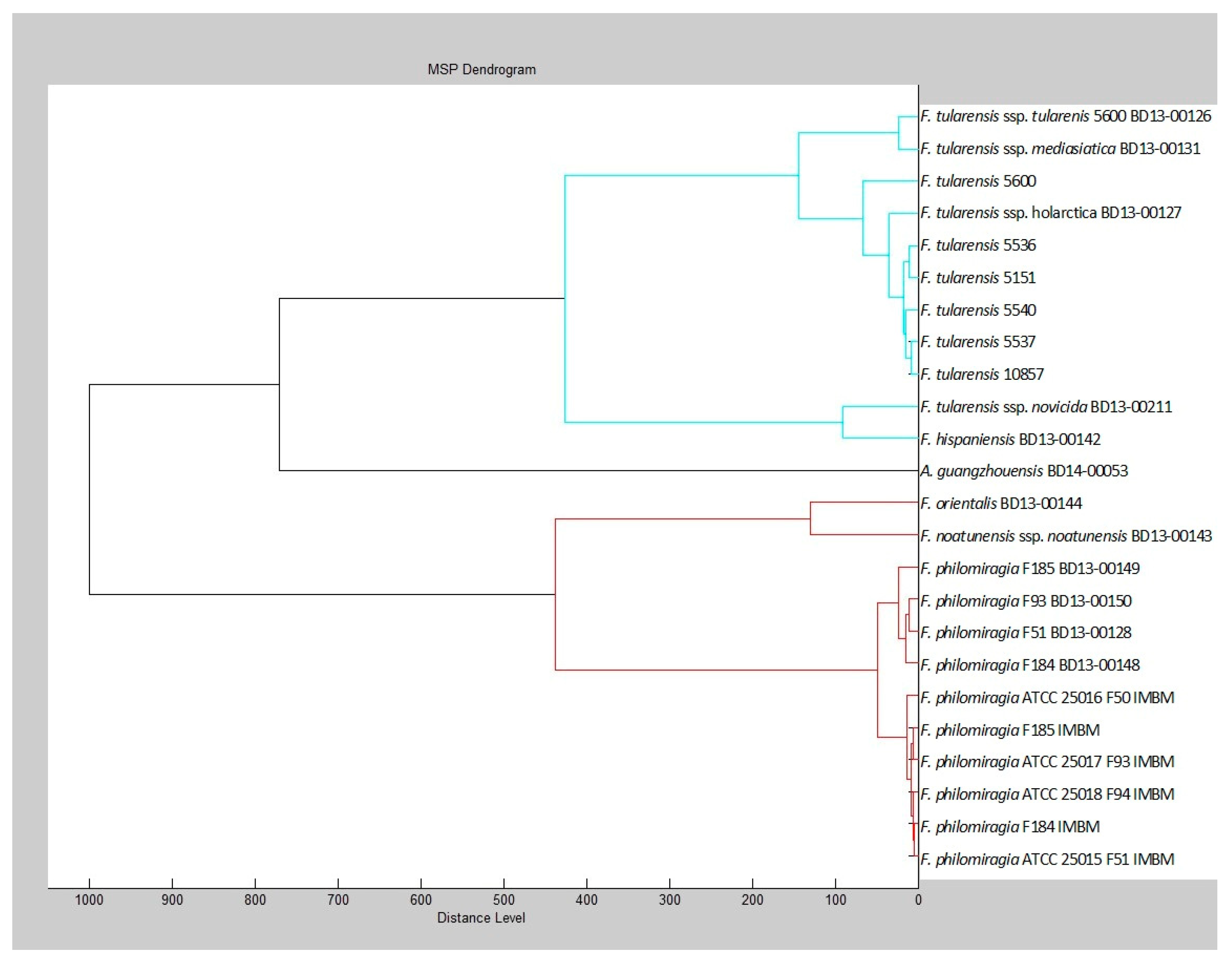 Microorganisms 11 00905 g002