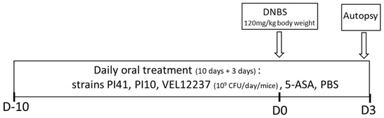 From In Vitro to In Vivo: A Rational Flowchart for the