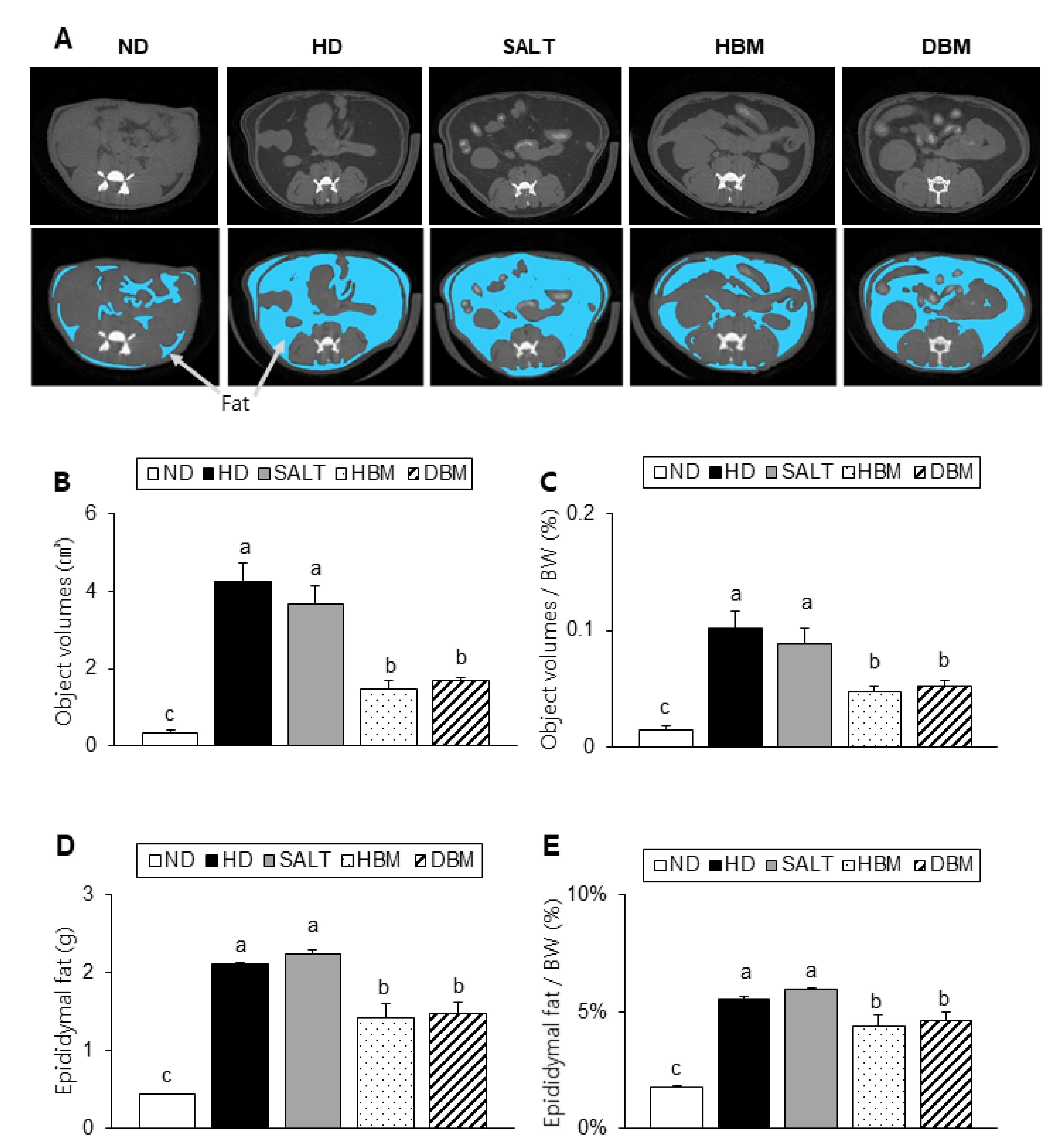 Microorganisms 11 00911 g003