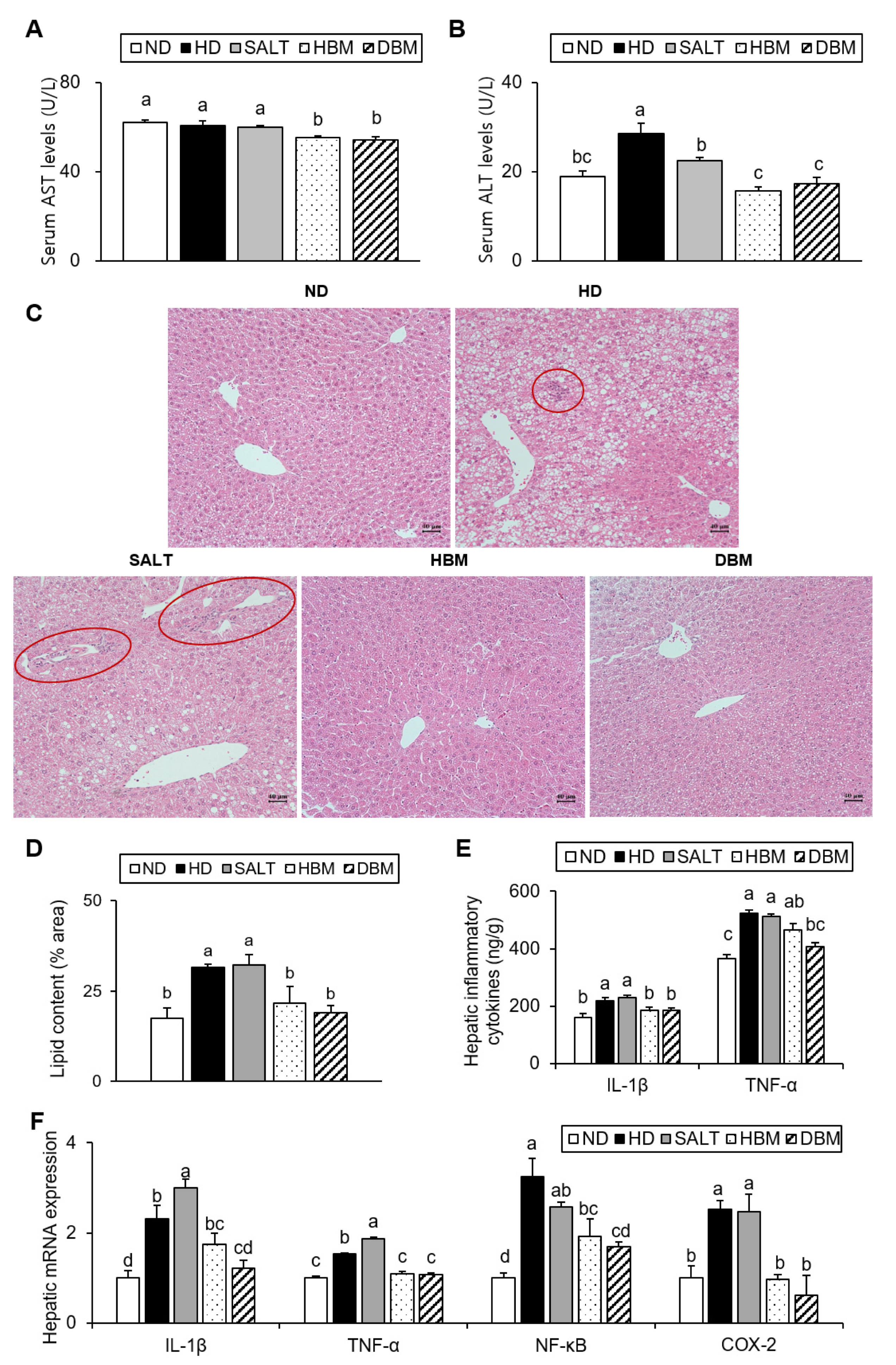 Microorganisms 11 00911 g004