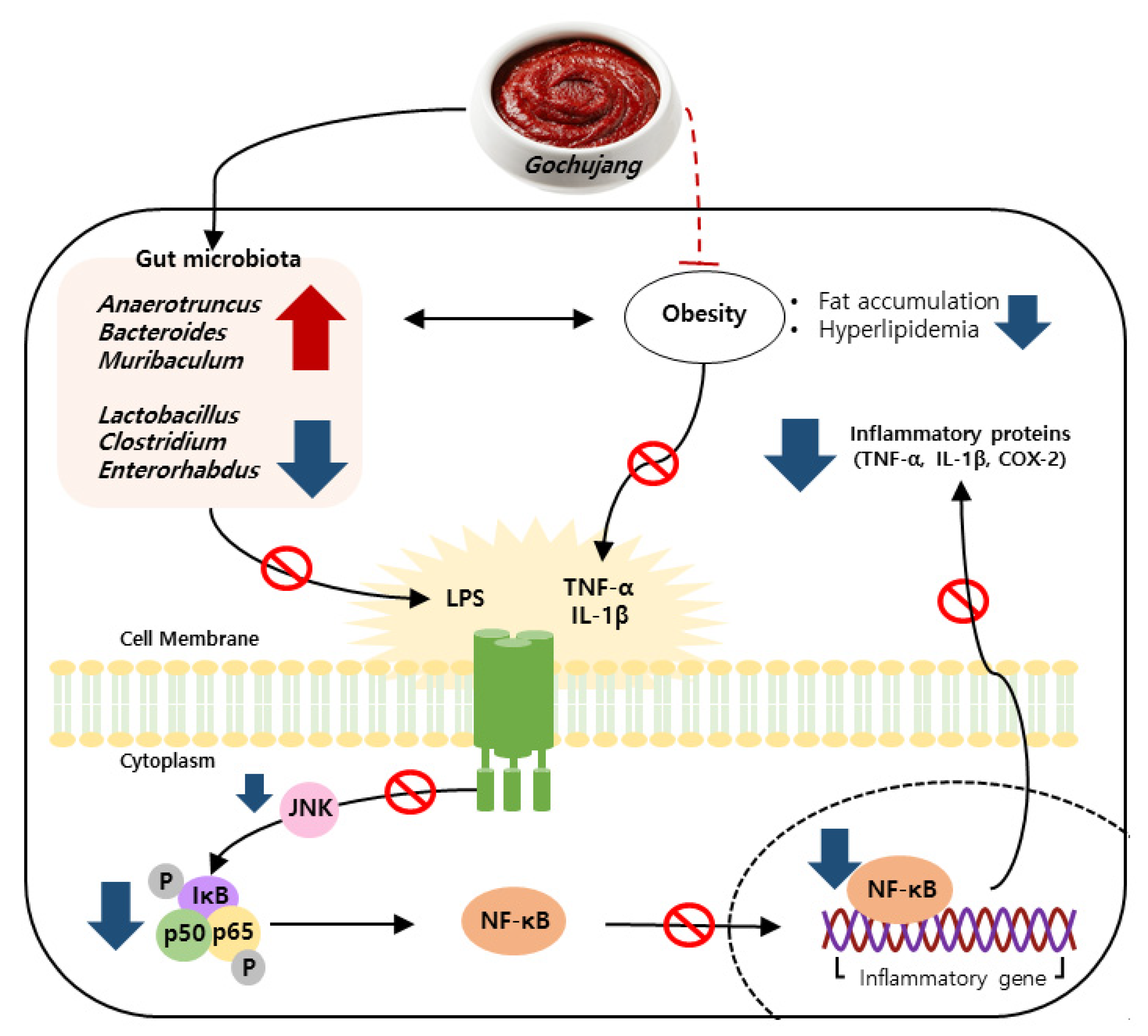 Microorganisms 11 00911 g010
