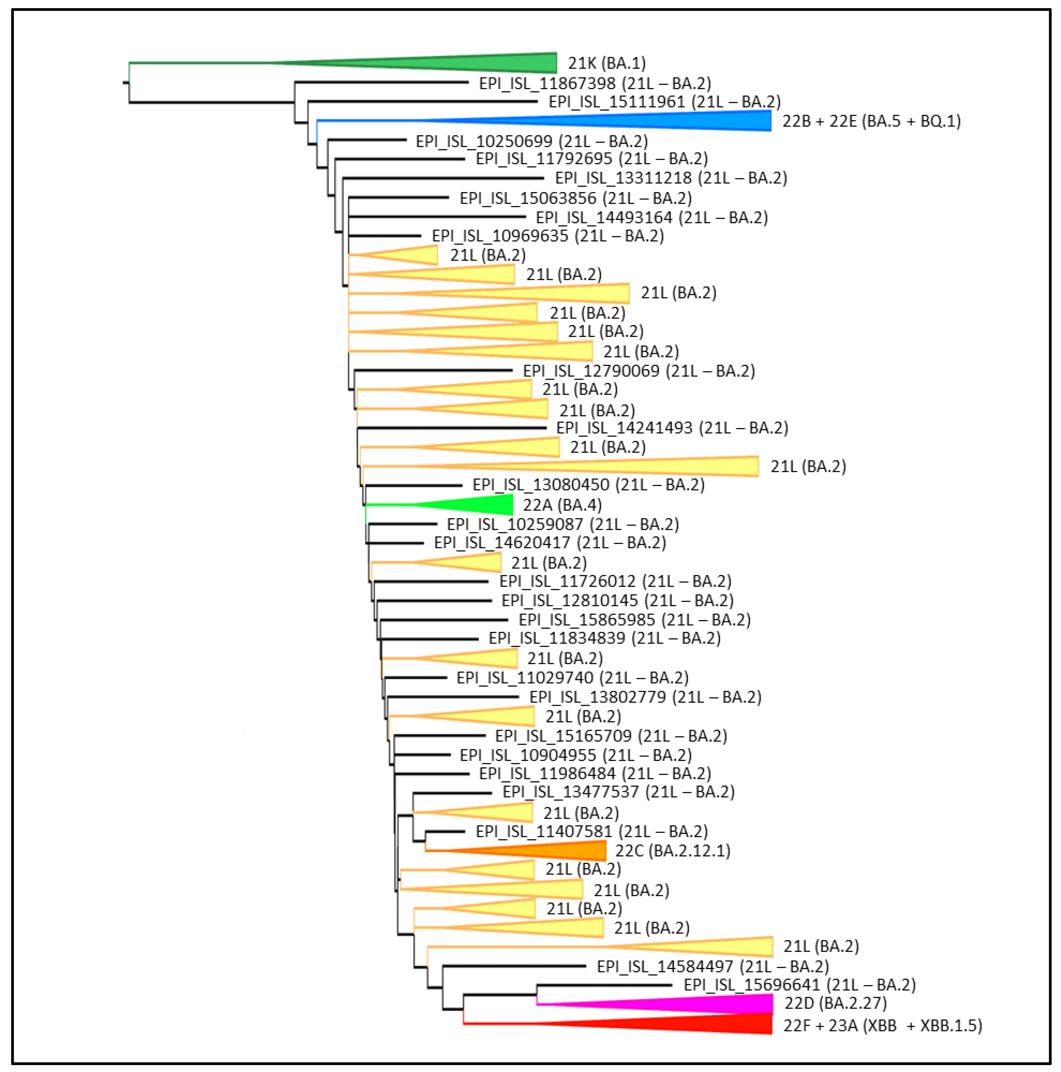 Microorganisms 11 00912 g001