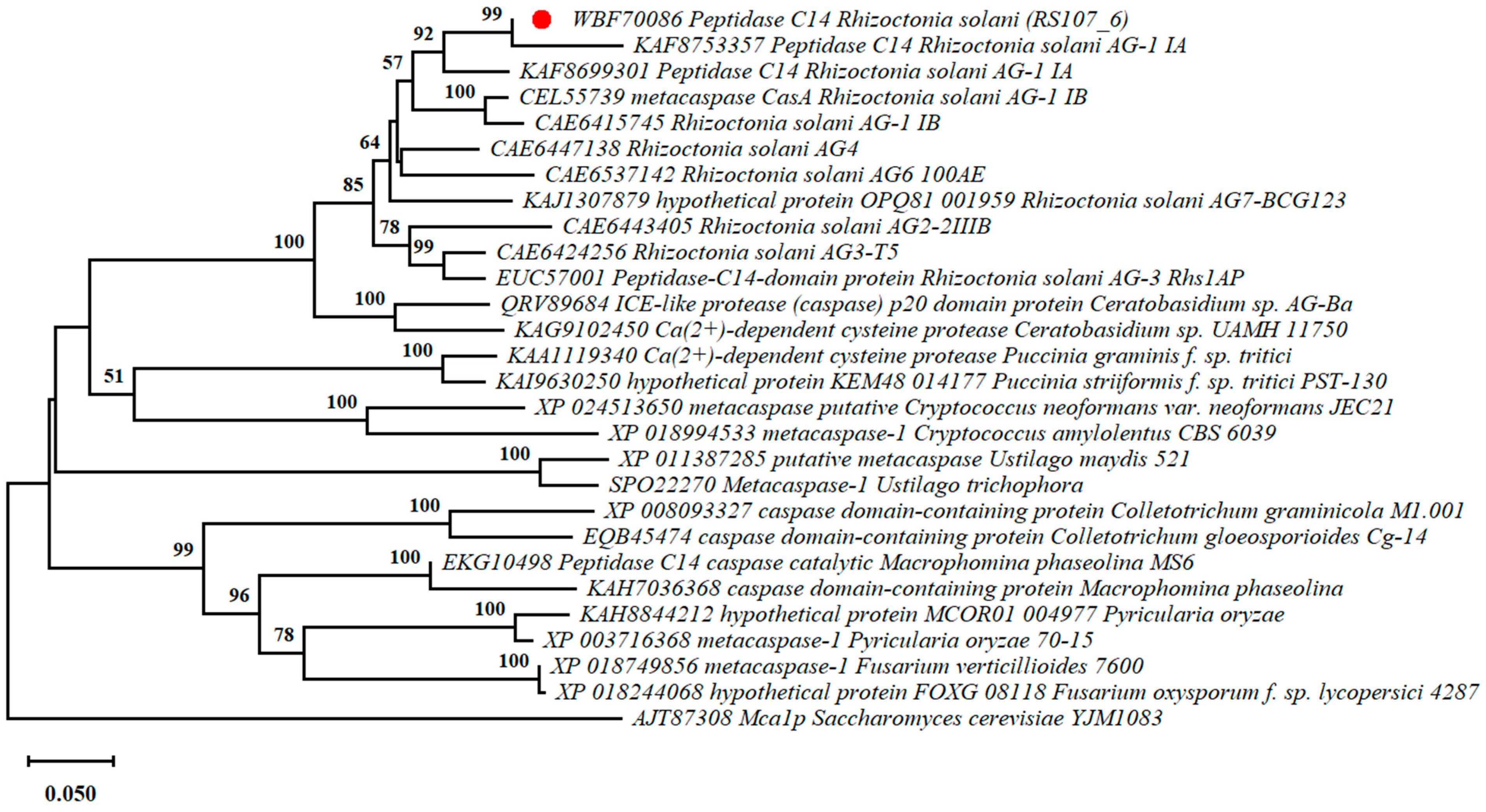Microorganisms 11 00920 g002
