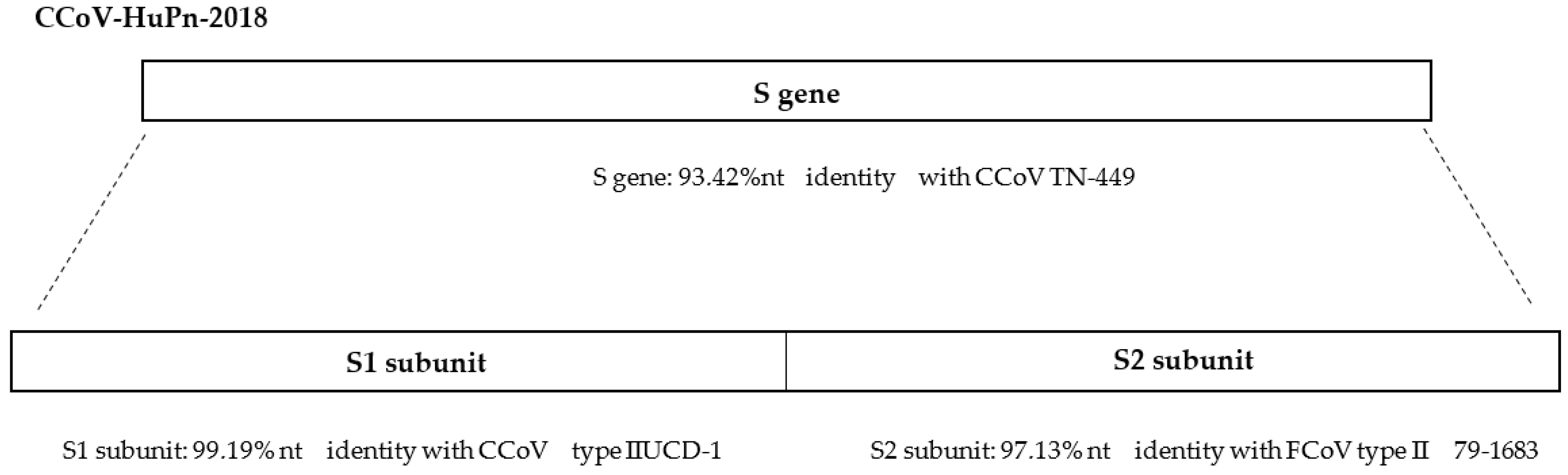 Microorganisms 11 00921 g002