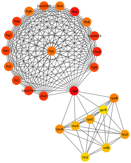 Protein Interaction Network Analysis to Investigate Stress Response ...