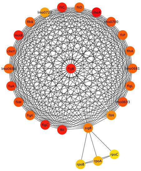 Protein Interaction Network Analysis to Investigate Stress Response ...