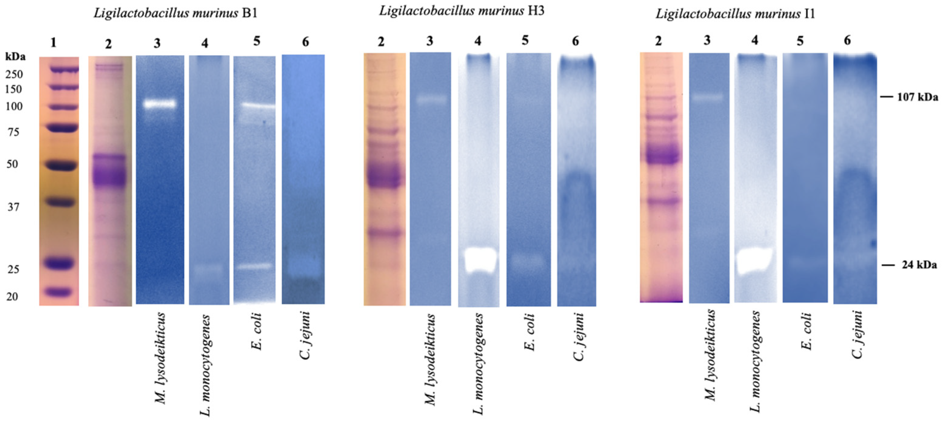 Microorganisms 11 00942 g002