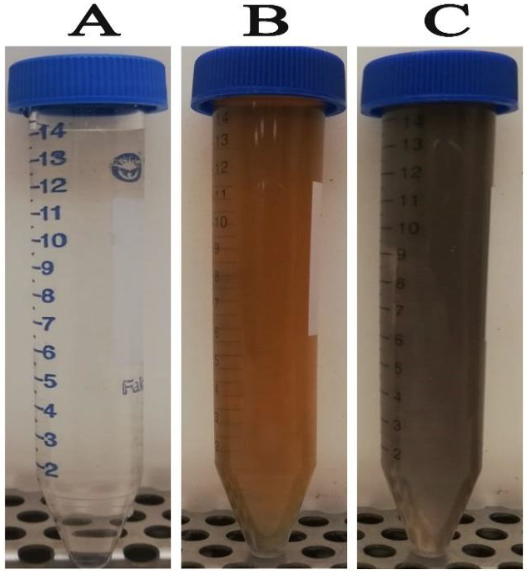 Microorganisms 11 00945 g001