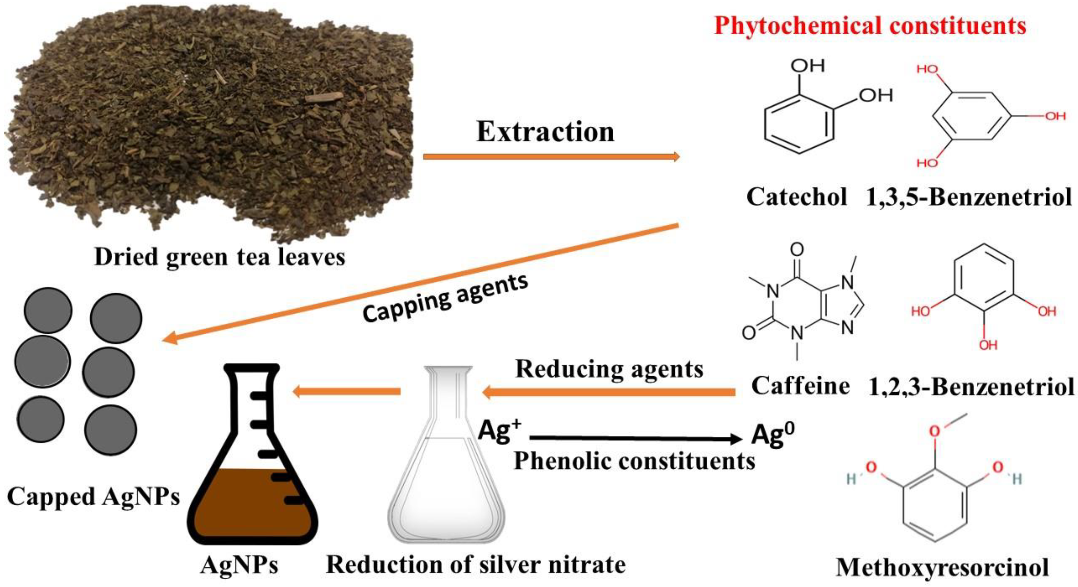 Microorganisms 11 00945 g002