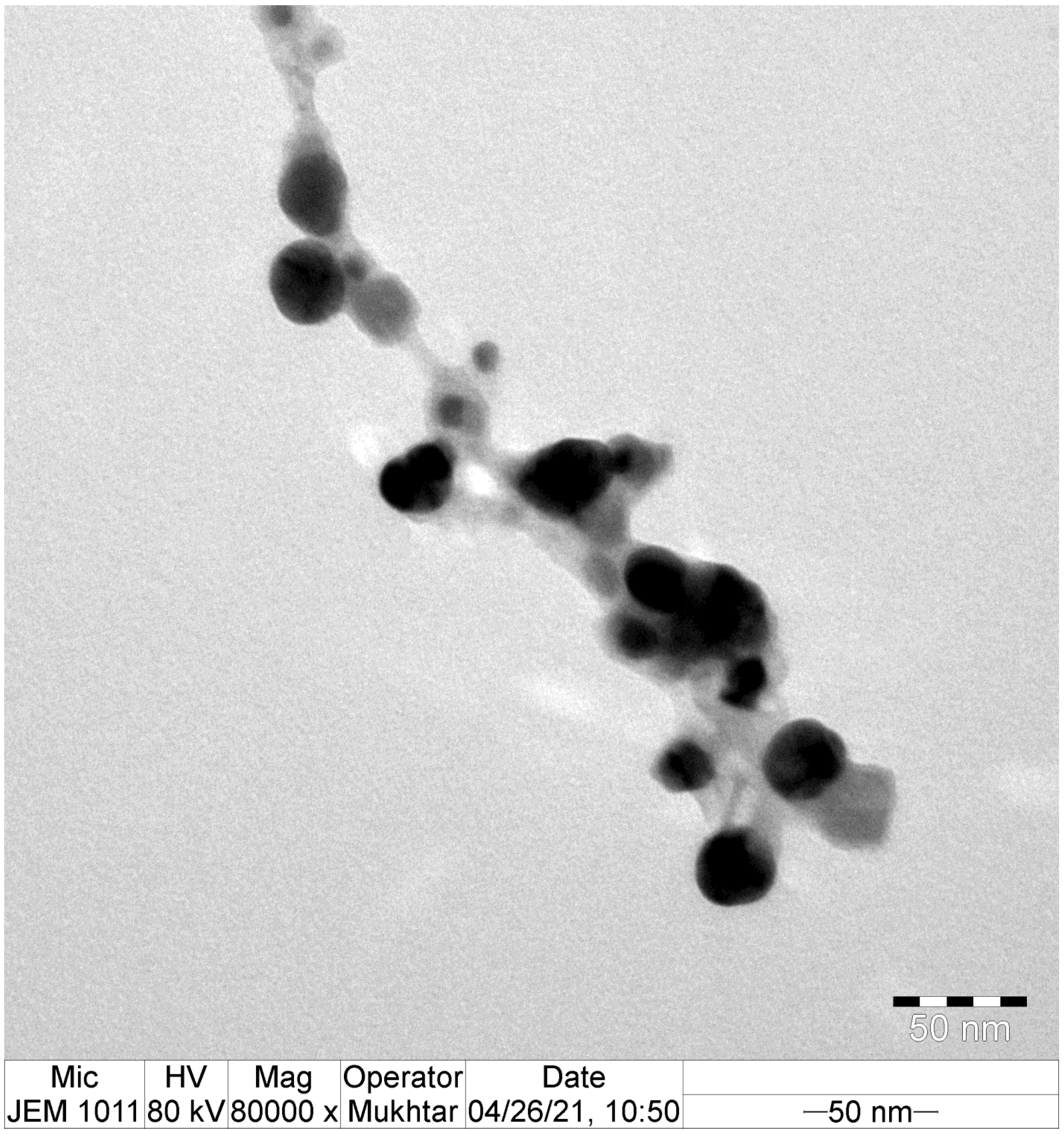 Microorganisms 11 00945 g004