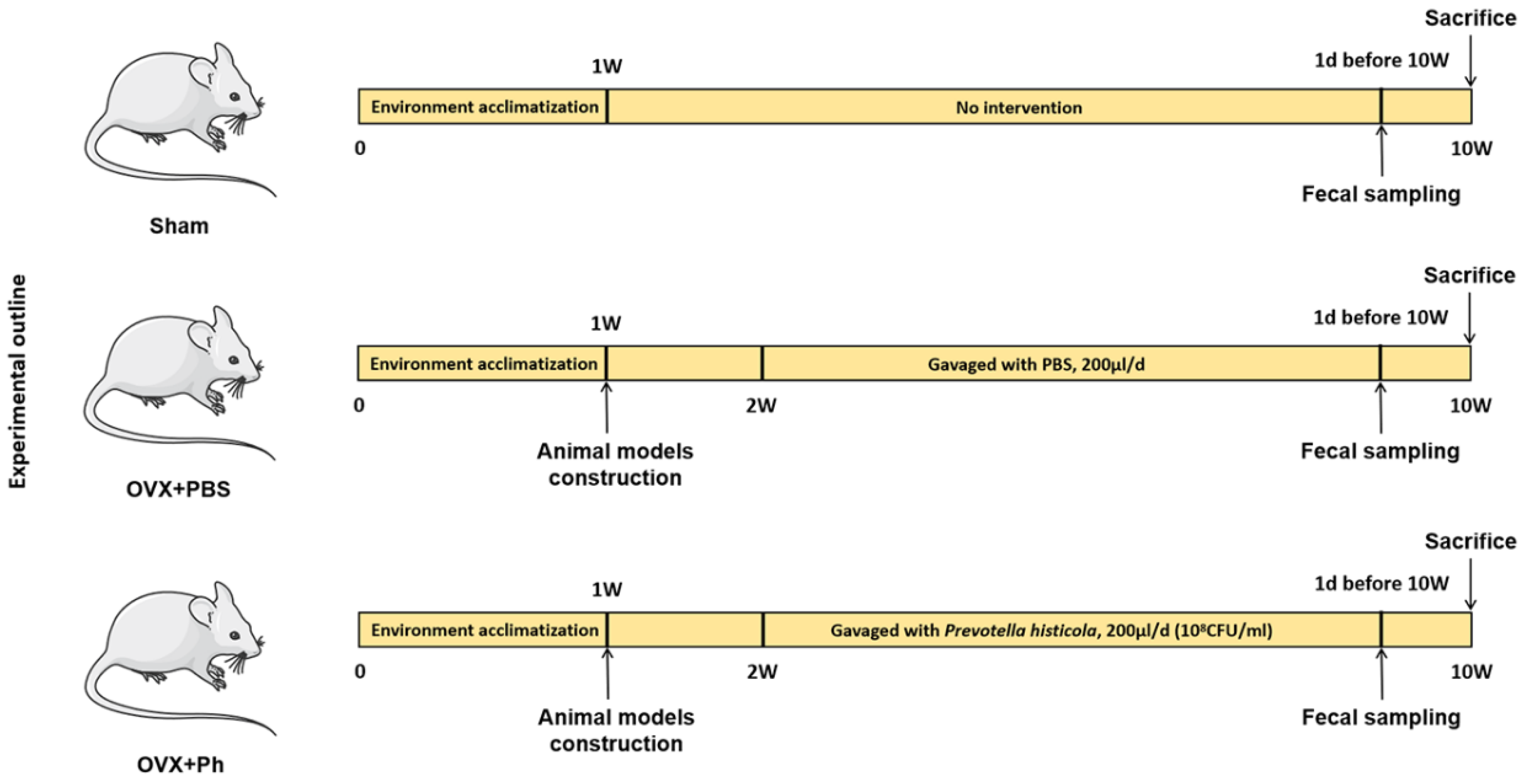 Microorganisms 11 00950 g001 Microorganisms 11 00950 g001