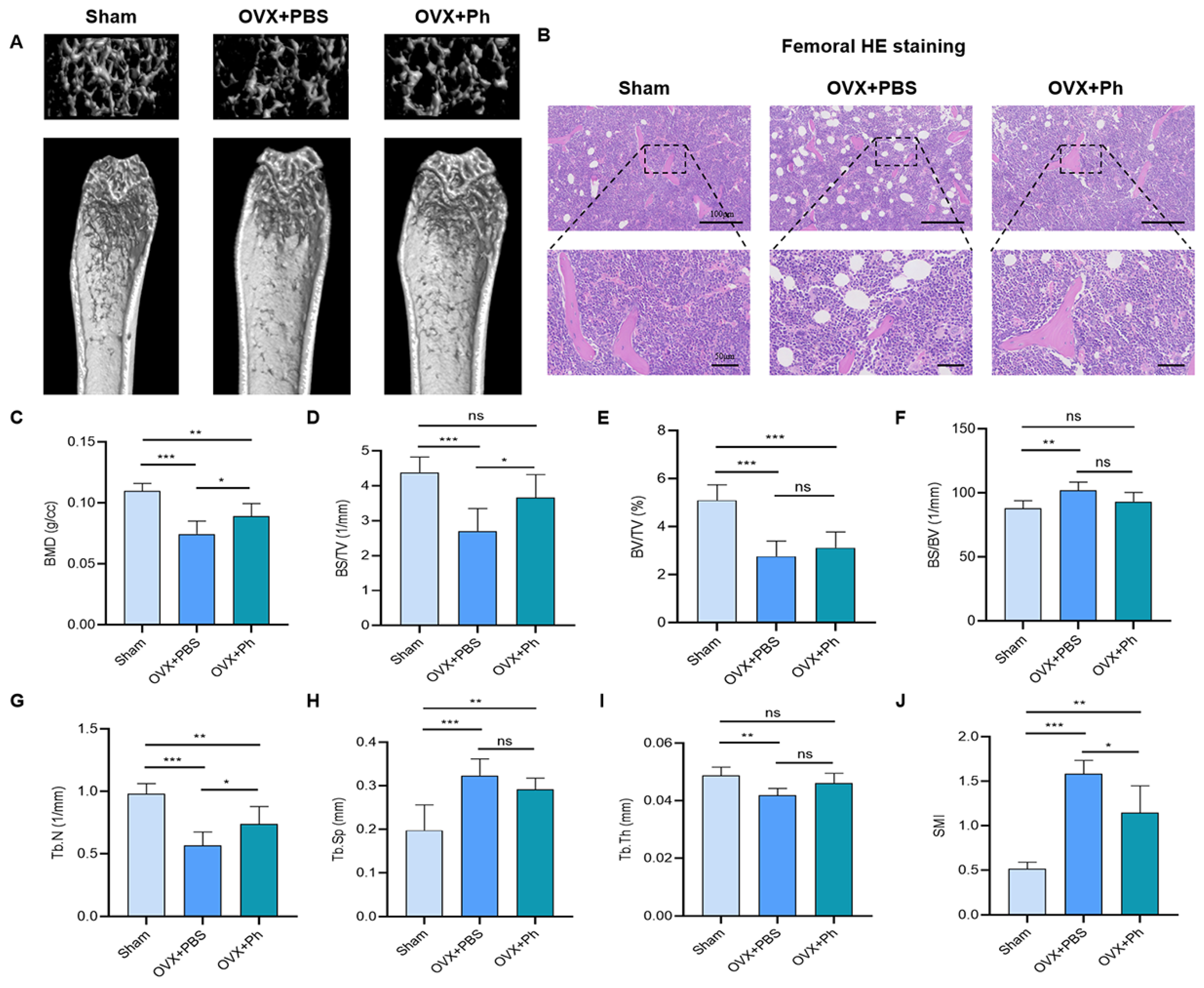 Microorganisms 11 00950 g002 Microorganisms 11 00950 g002