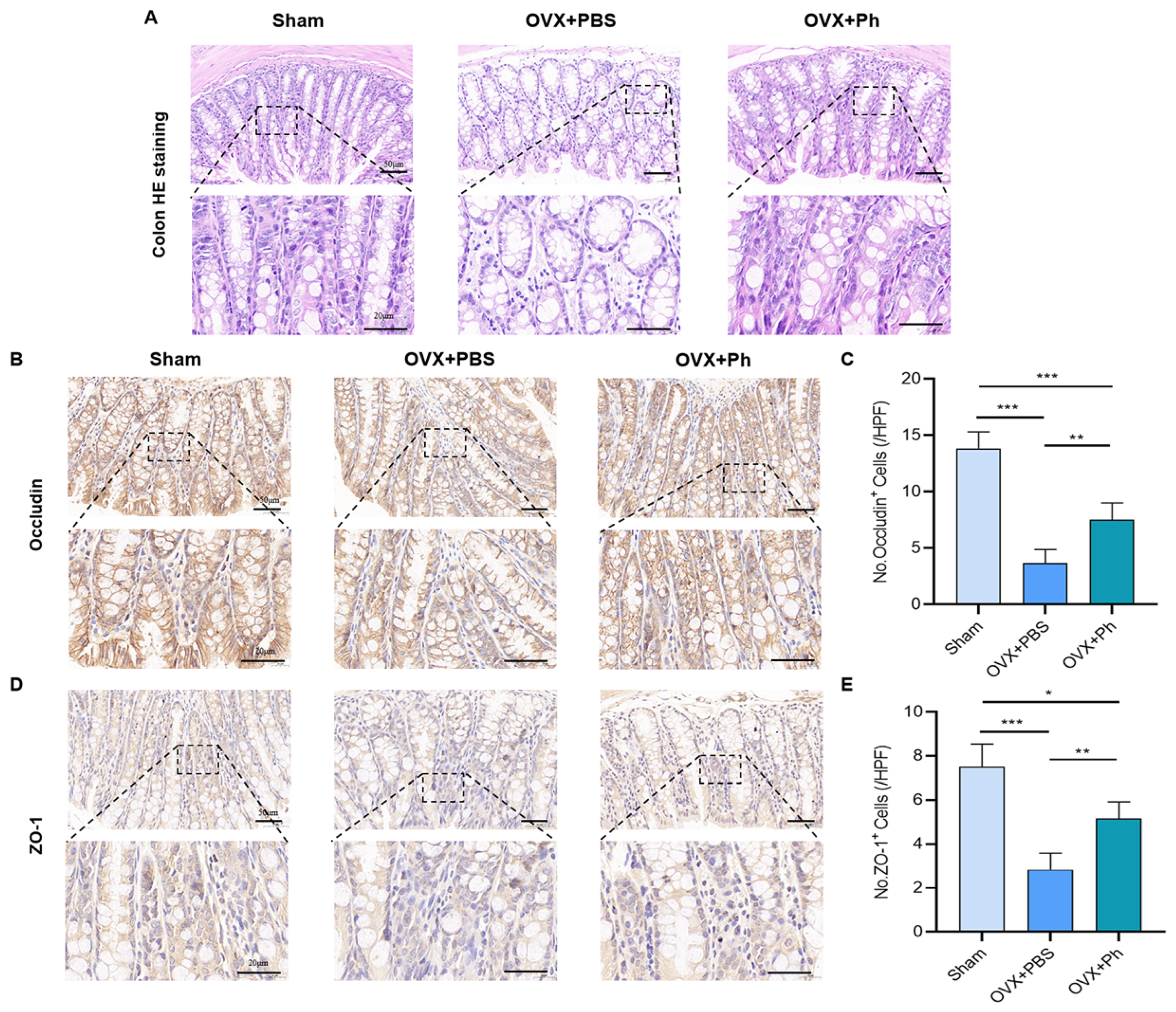 Microorganisms 11 00950 g005 Microorganisms 11 00950 g005