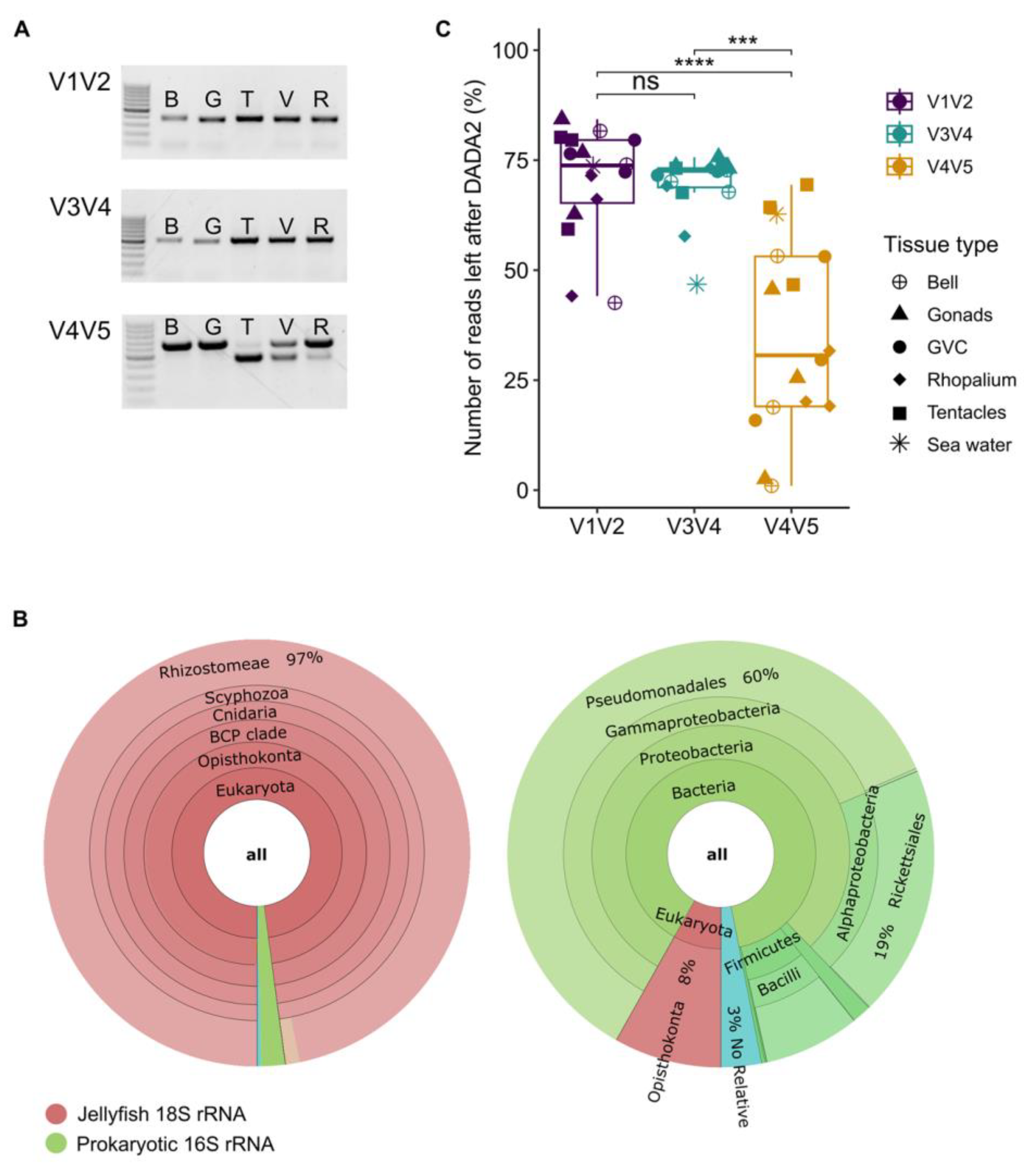 Microorganisms 11 00955 g002